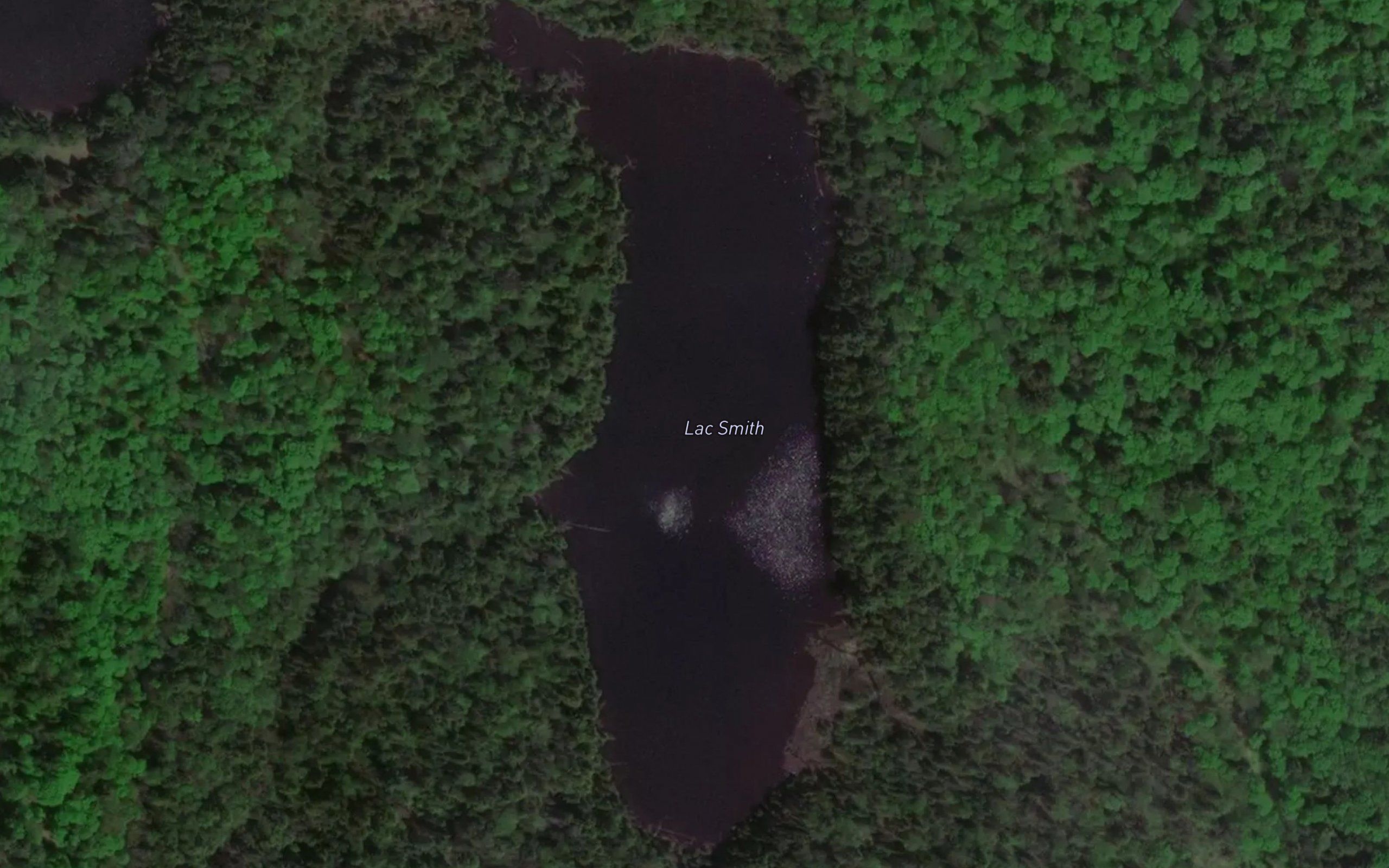 Lac Smith