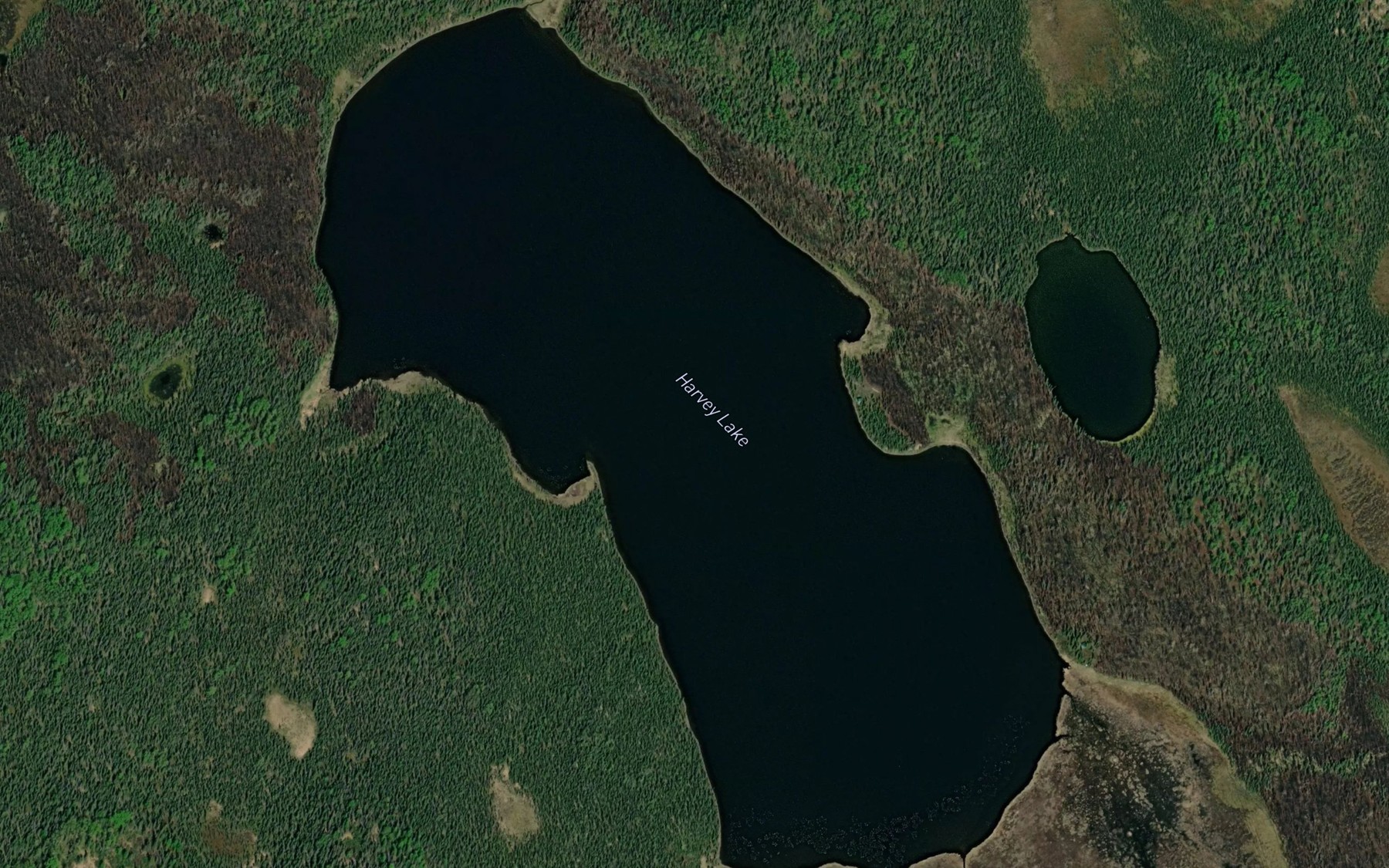 Satellite map of the Harvey Lake