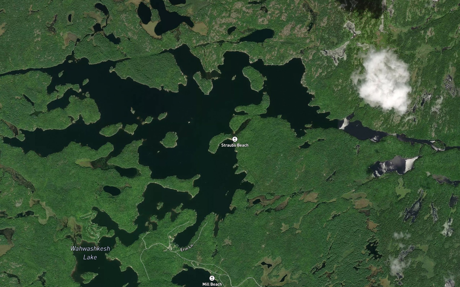 Satellite map of the Driftwood Bay