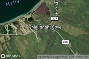 Malignant Cove