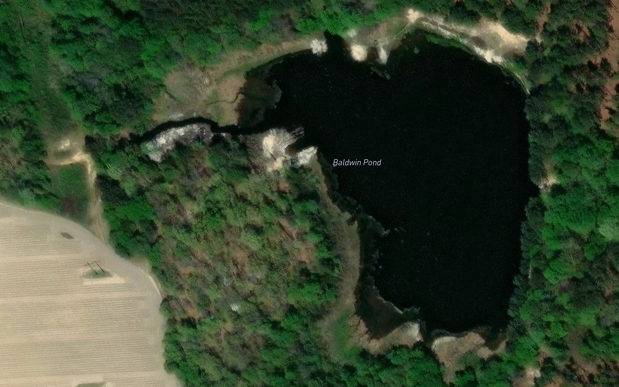 Baldwin Pond