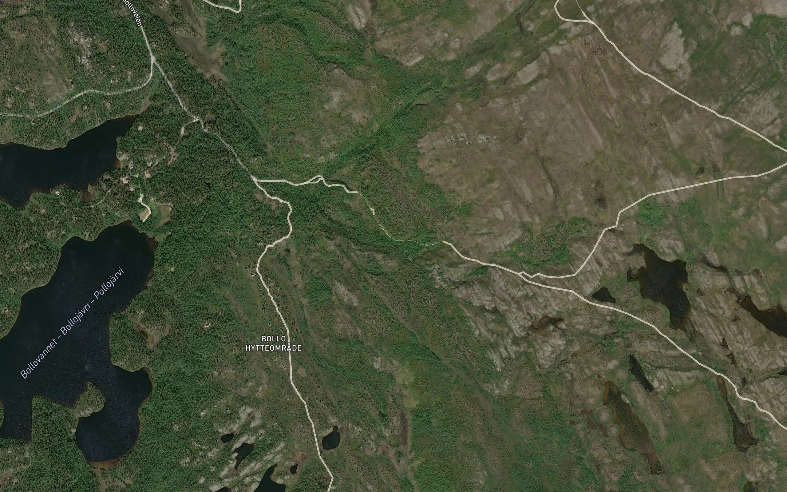 Bollojohka
