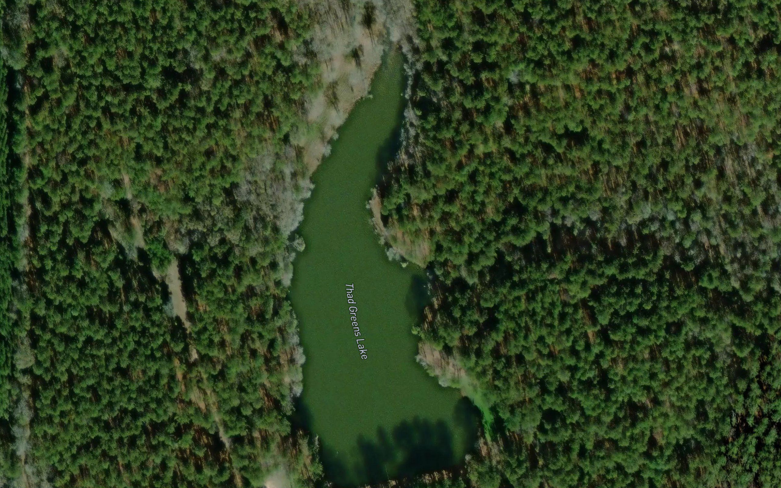 Thad Greens Lake