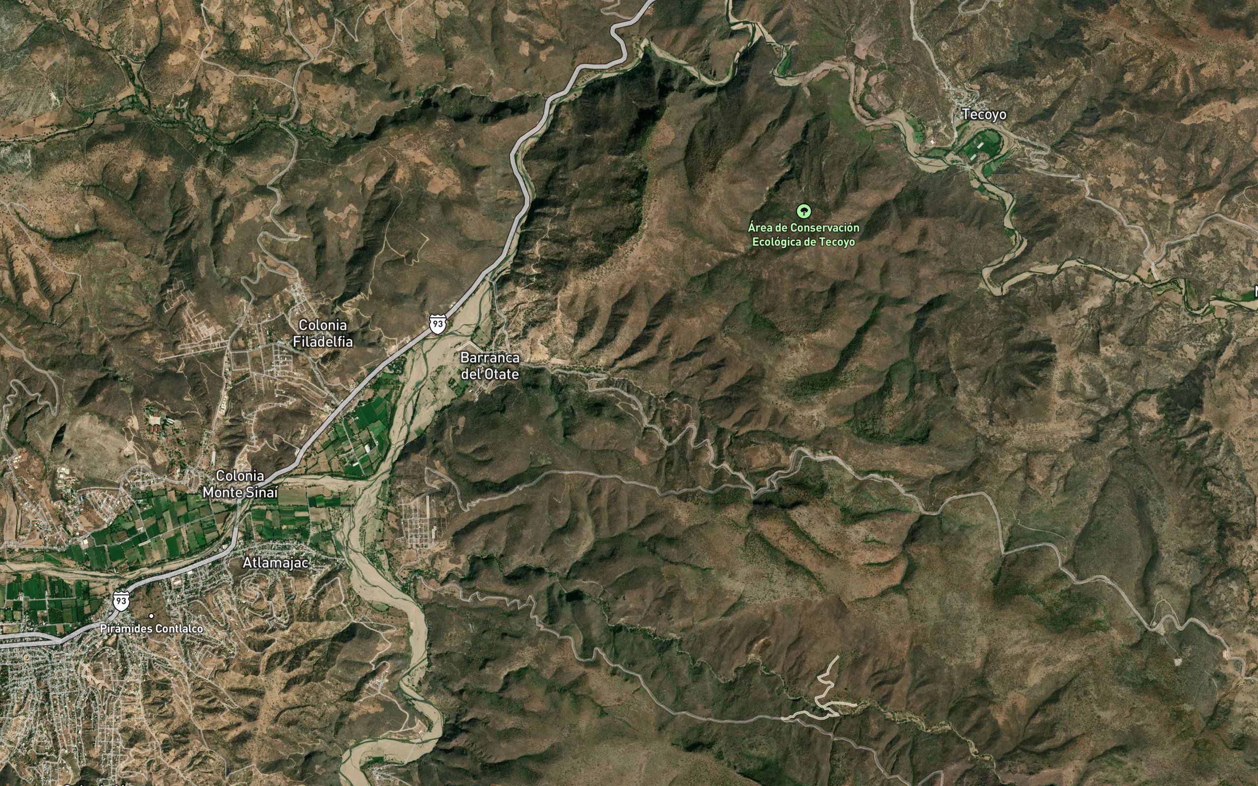 El Otate