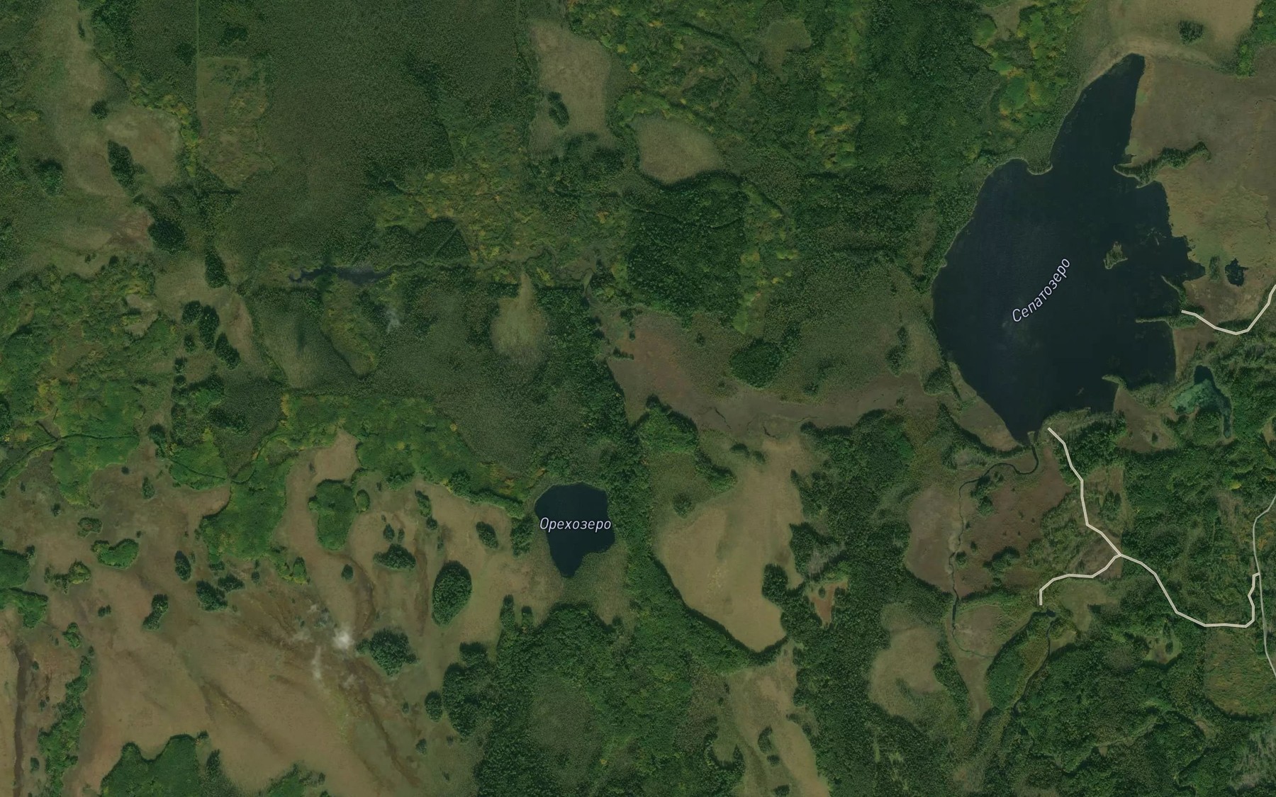 Satellite map of the Ozero Topornoye