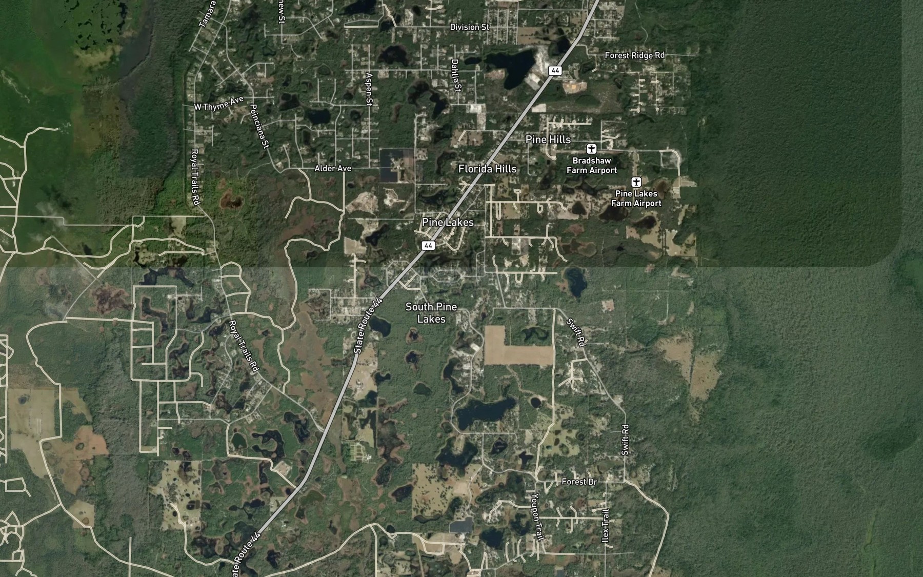 Satellite map of the Bass Lake