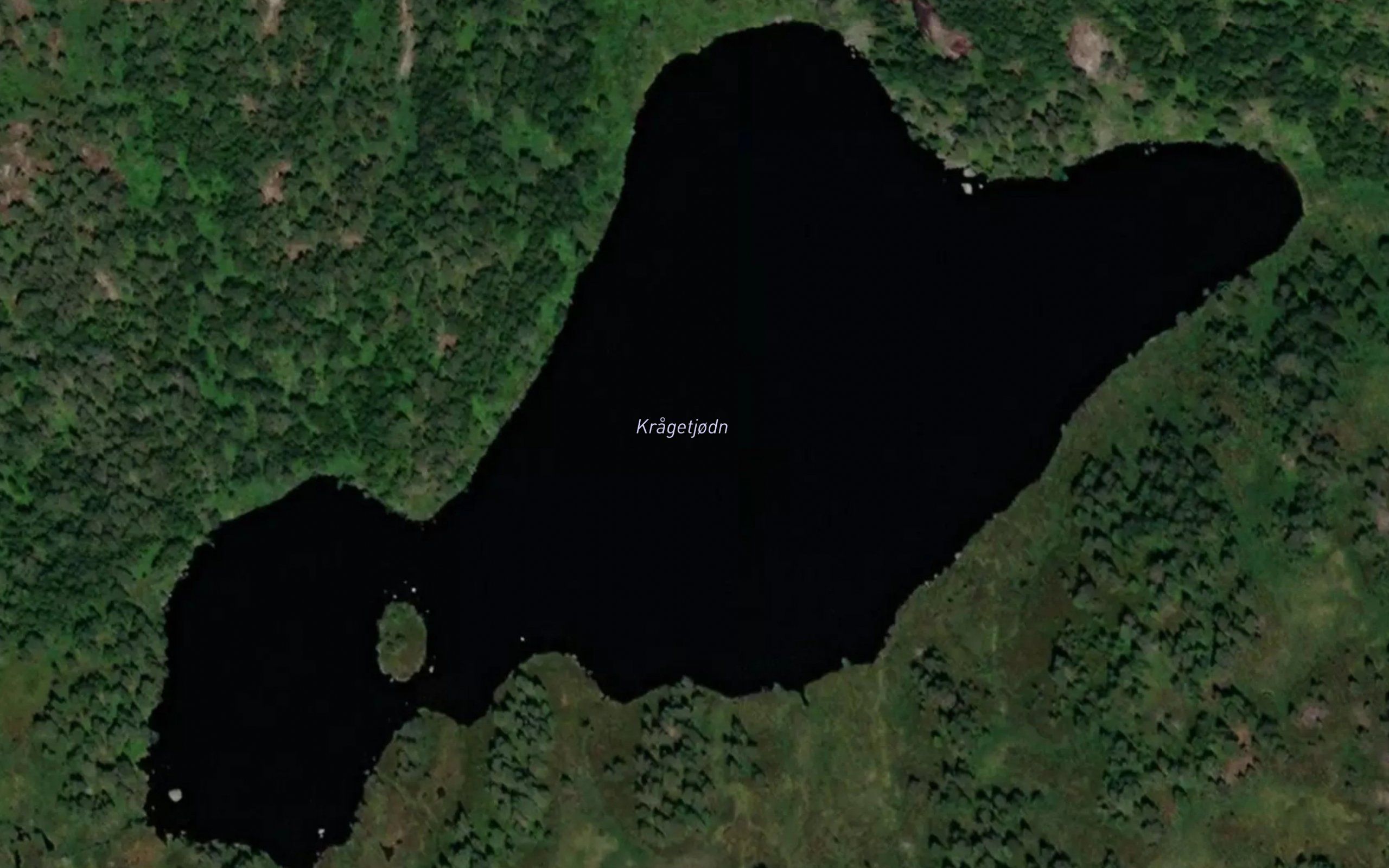 Kraketjorna