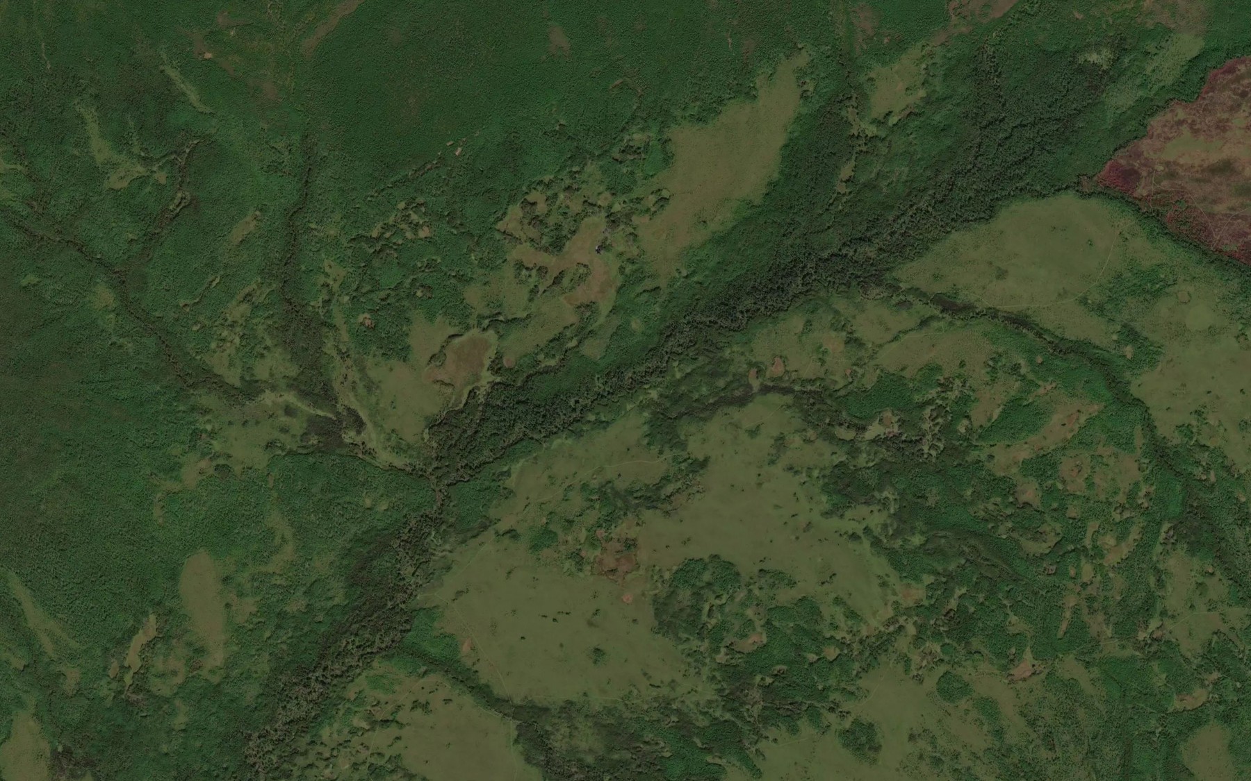 Satellite map of the Kochkovatyy