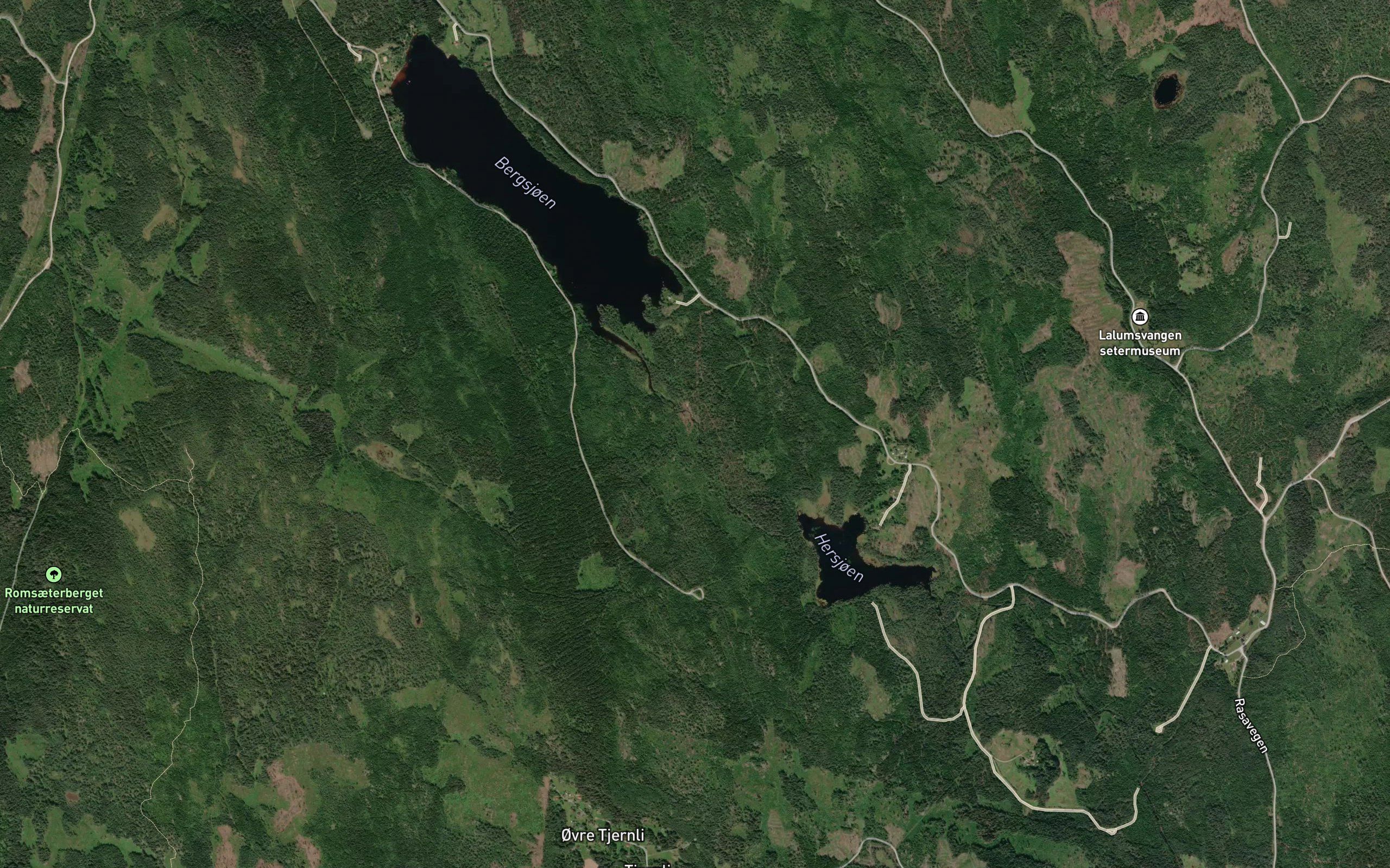 Bergsjoaa