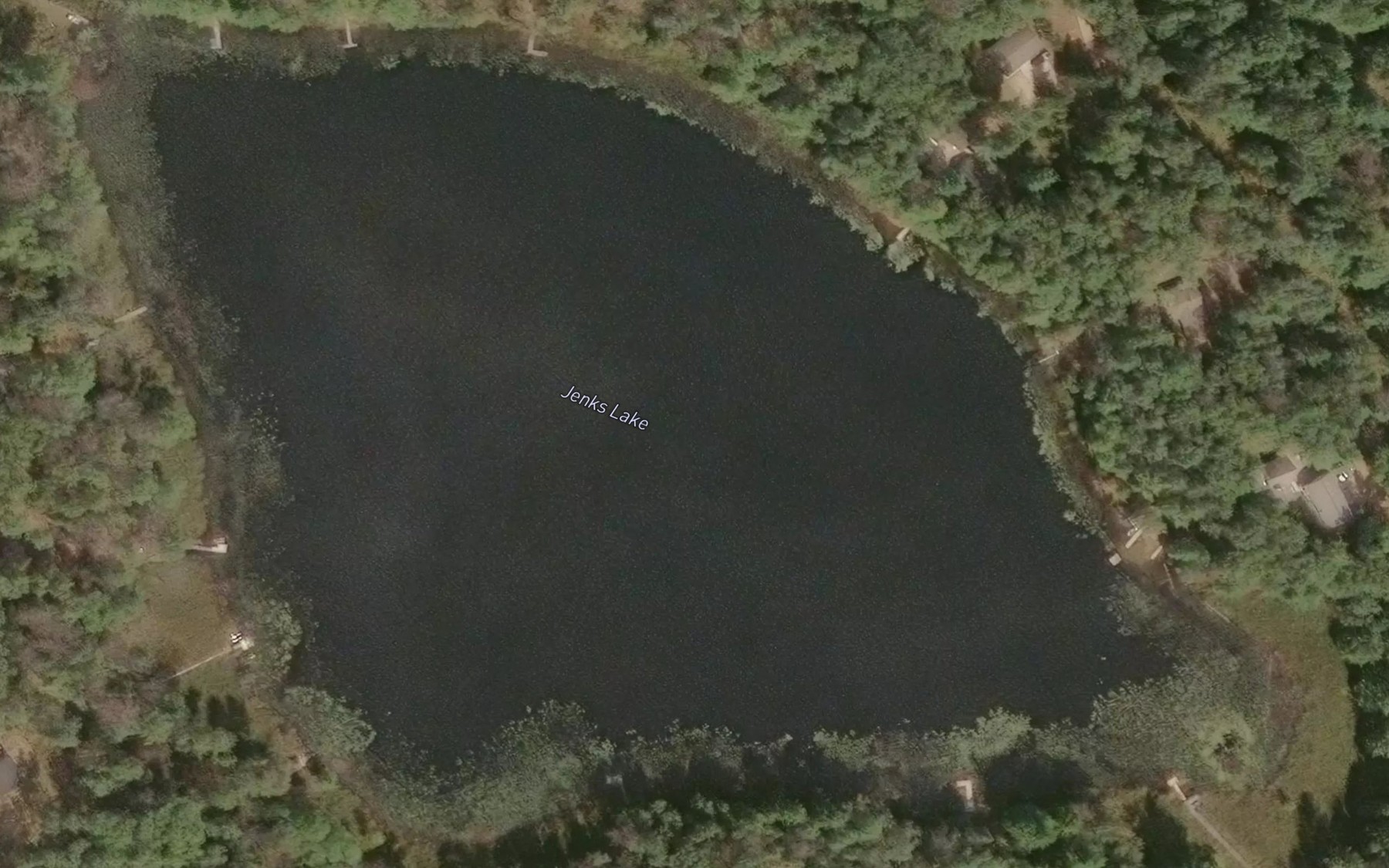 Satellite map of the Jenks Lake