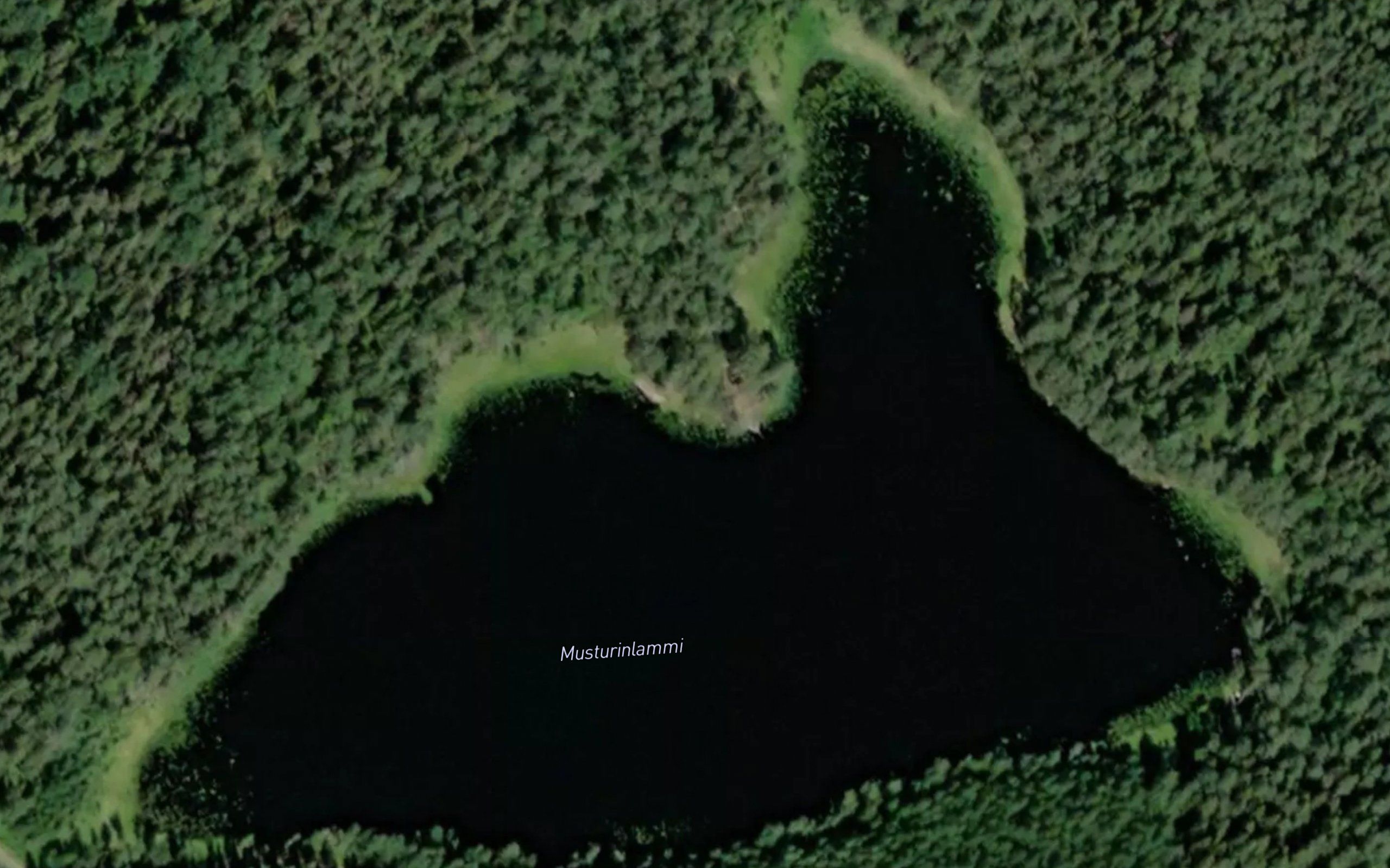 Musturinlammi