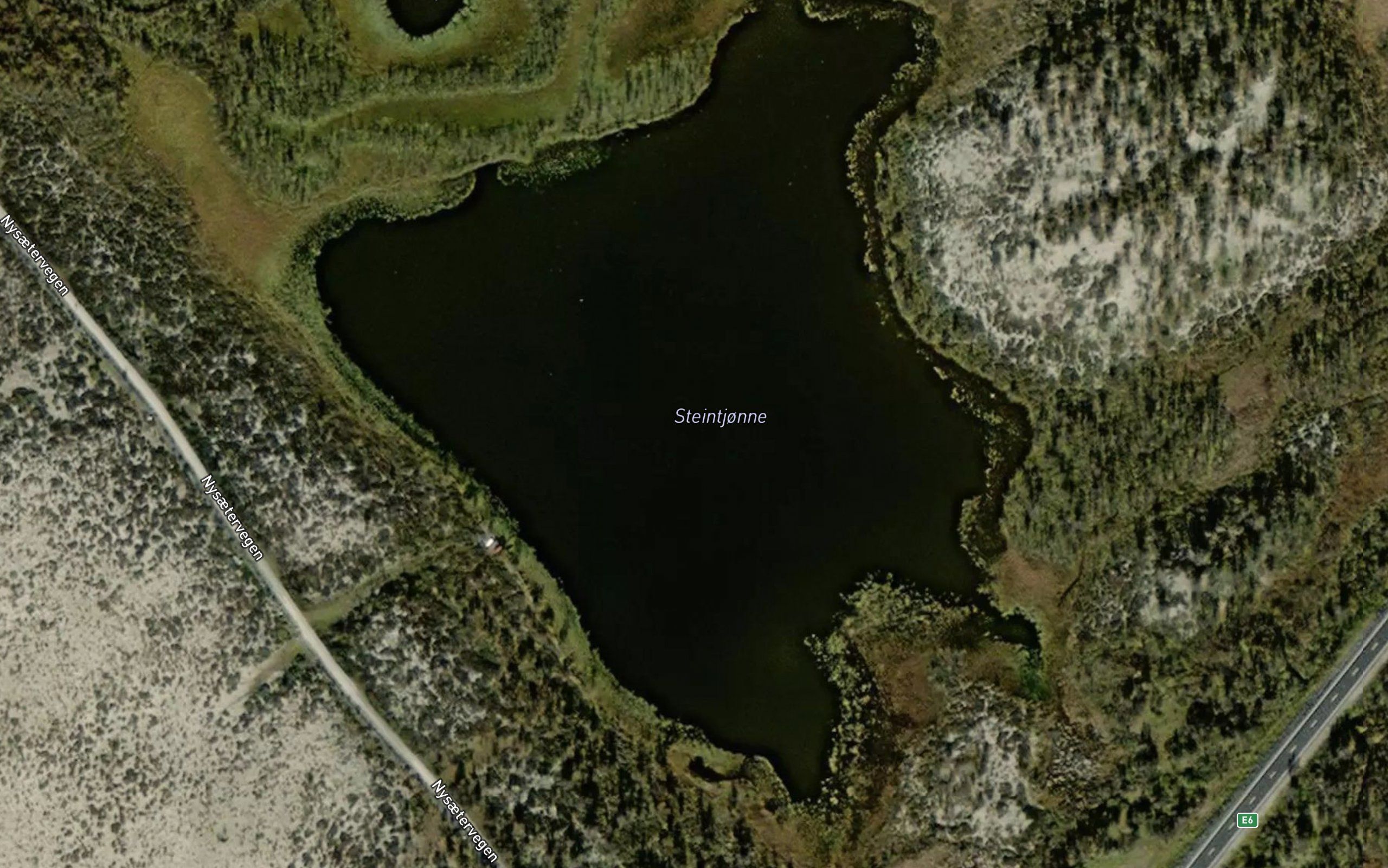 Kringluttjorni
