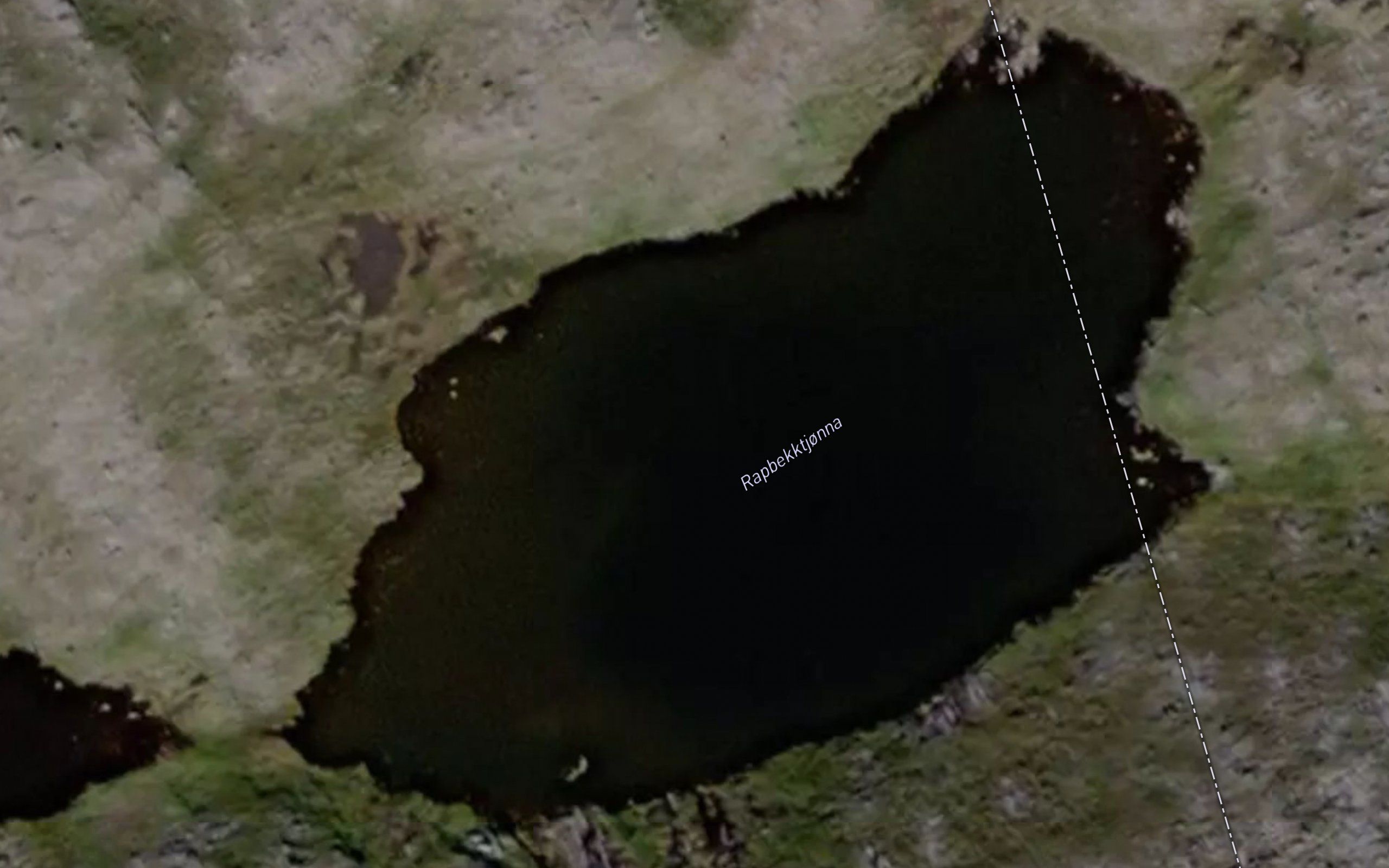 Rapbekktjorna