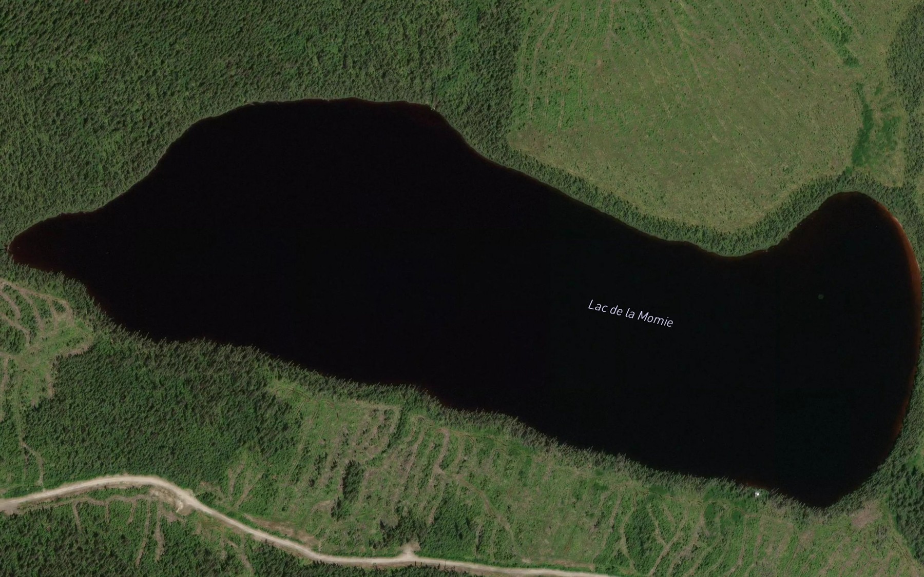 Satellite map of the Lac de la Momie