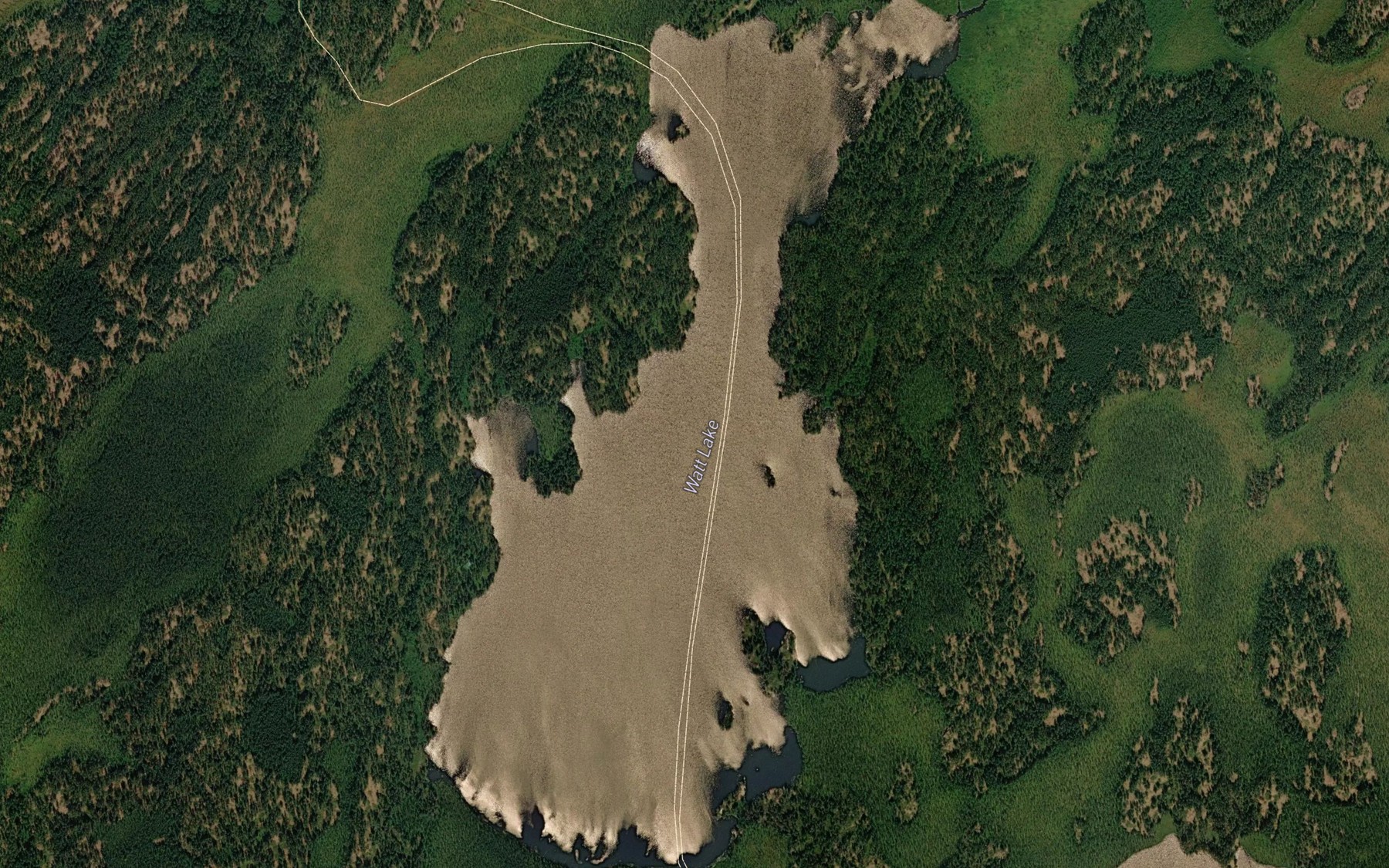 Satellite map of the Watt Lake