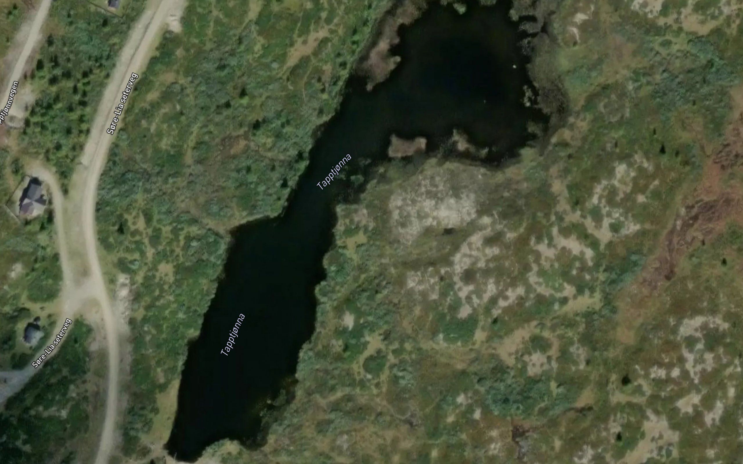 Tapptjorna