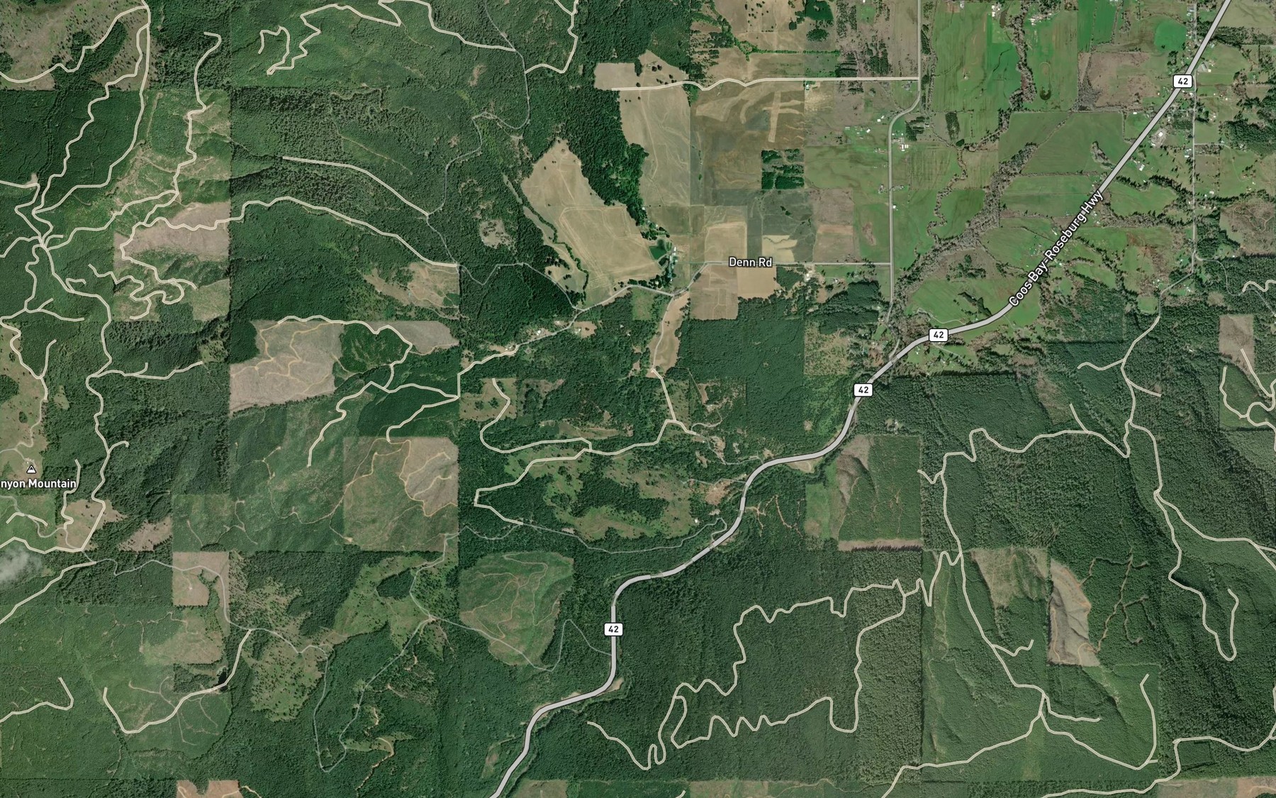 Satellite map of the Bingham Creek