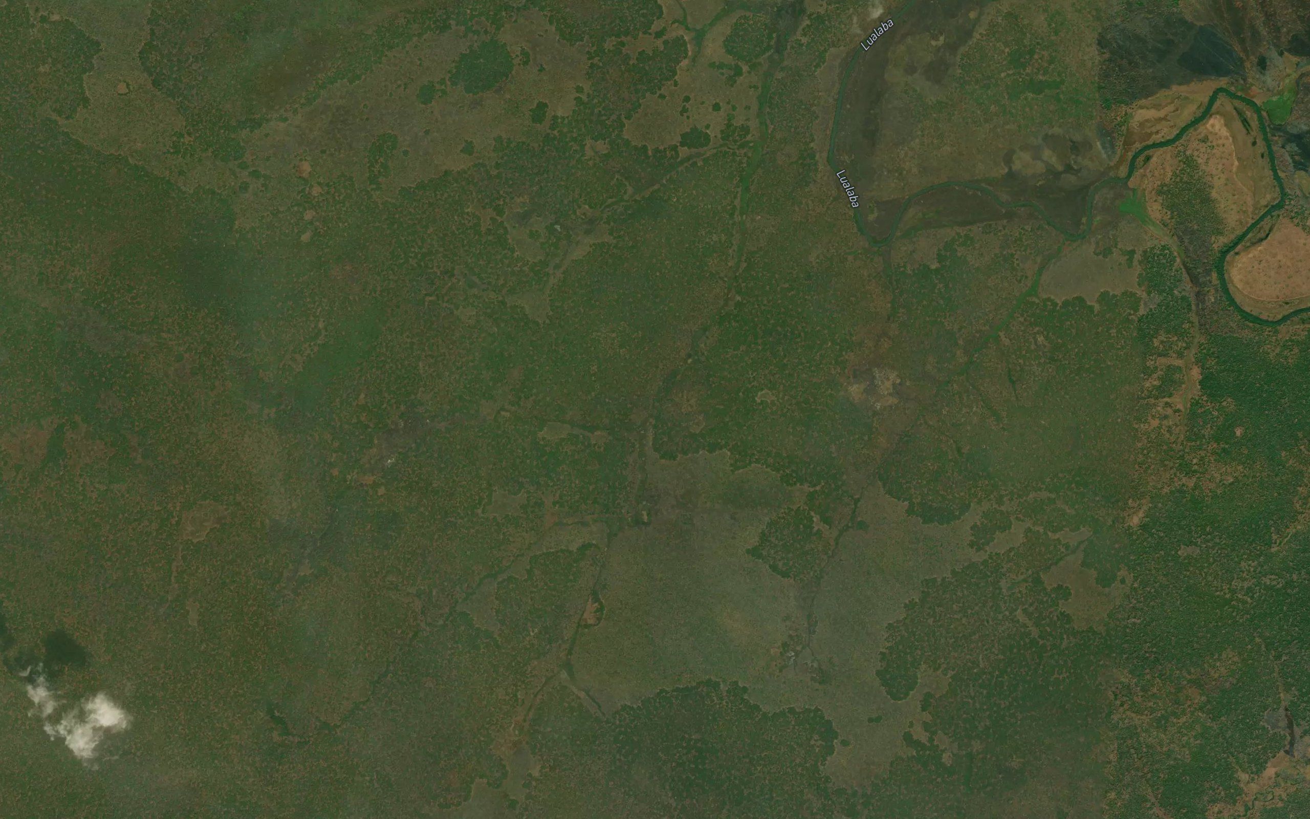 Kasengi