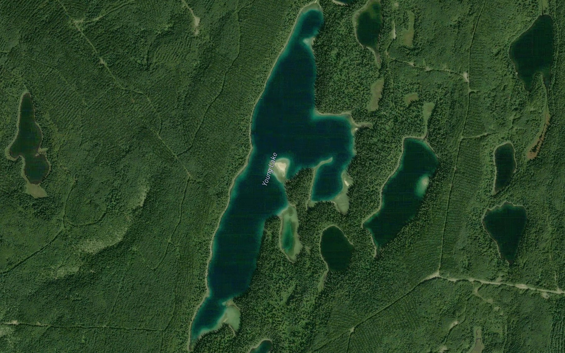 Satellite map of the Young Lake