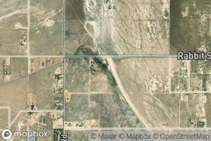 Rabbit Springs