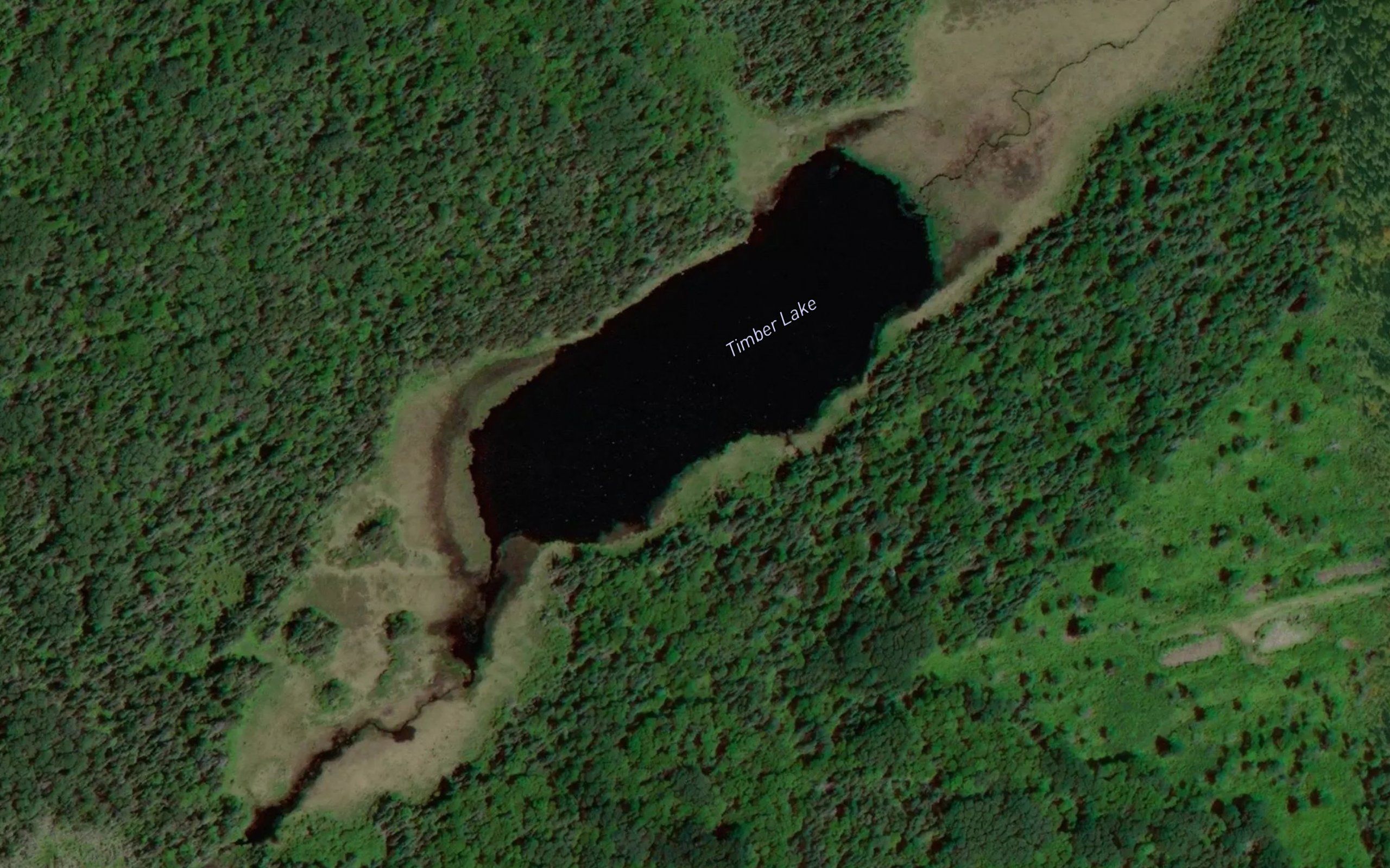 Timber Lake