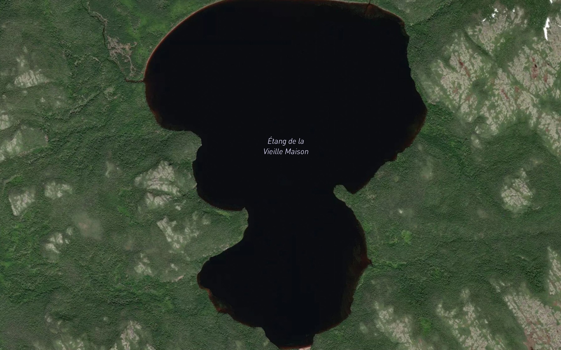 Satellite map of the Etang de la Vieille Maison