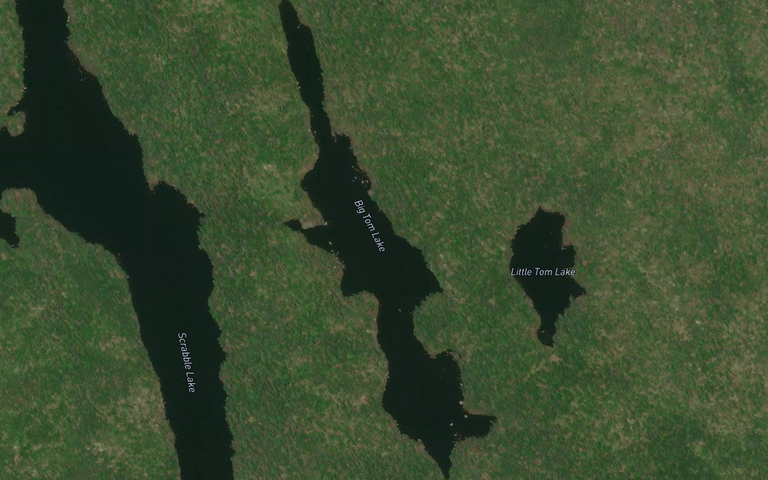 Big Tom Lake