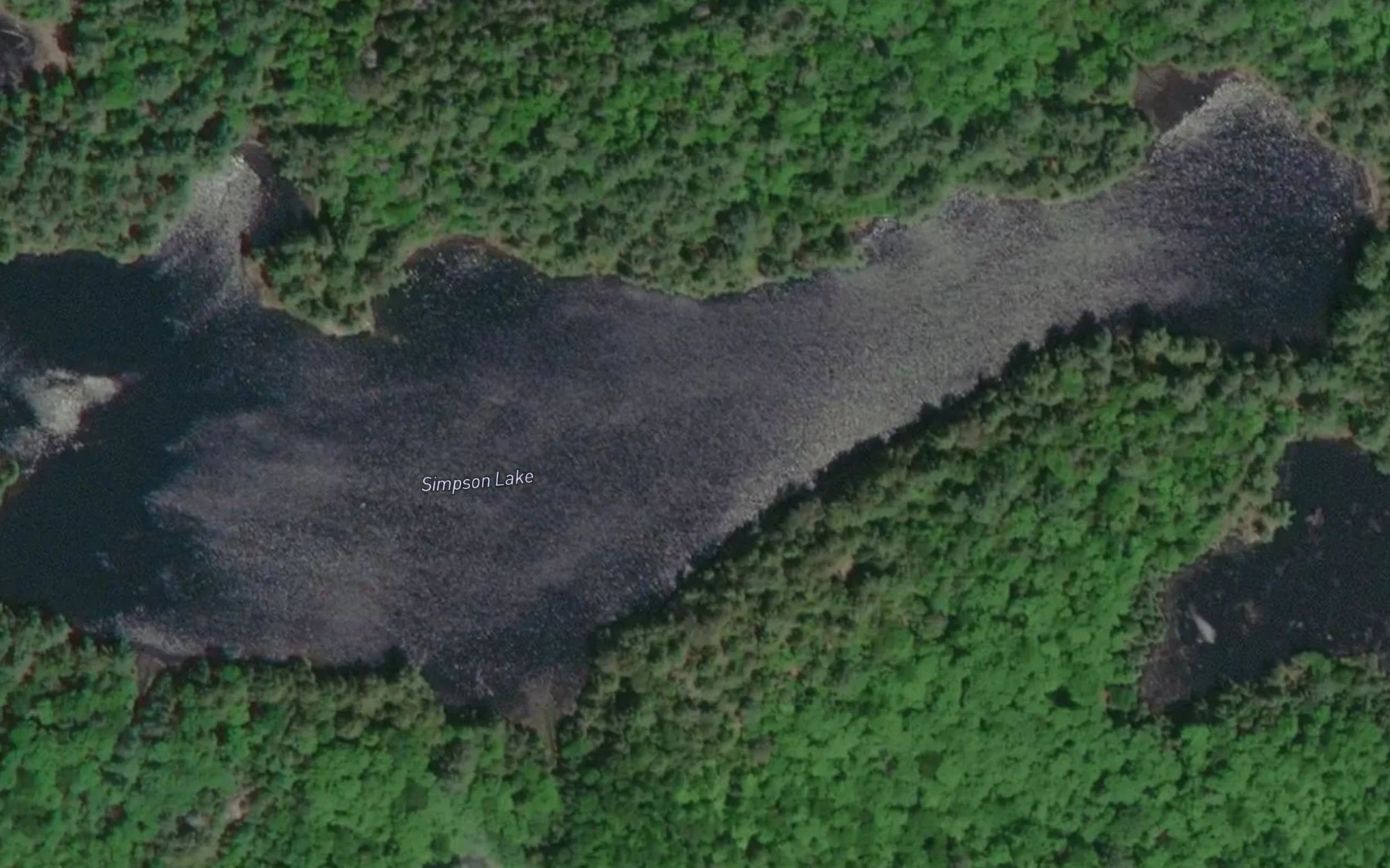 Satellite map of the Simpson Lake