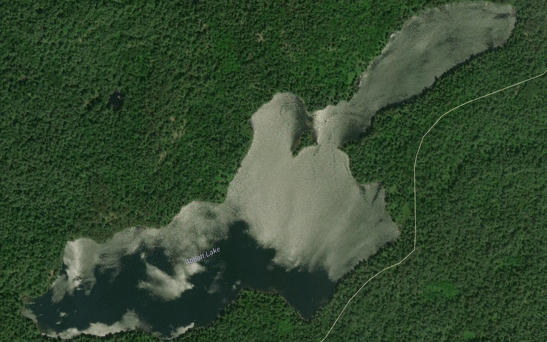 Satellite map of the Abbott Lake
