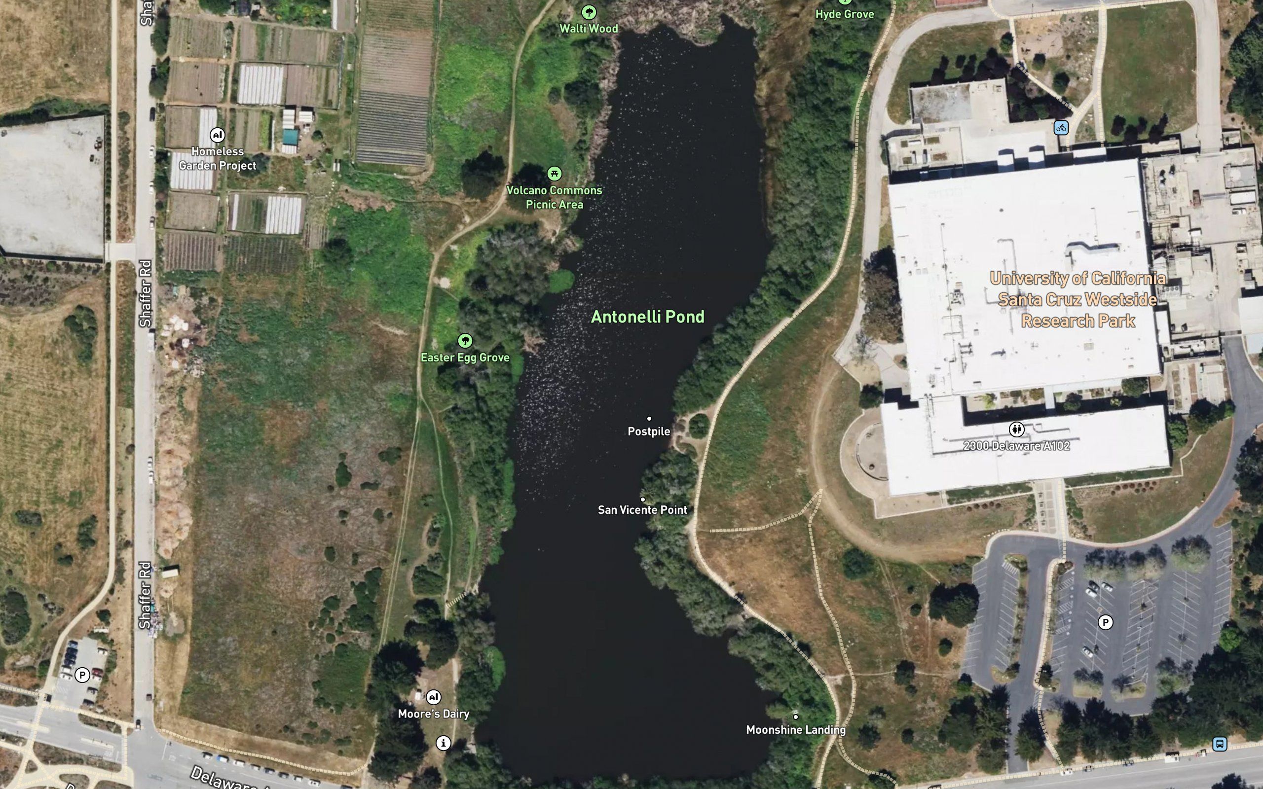 Antonelli Pond