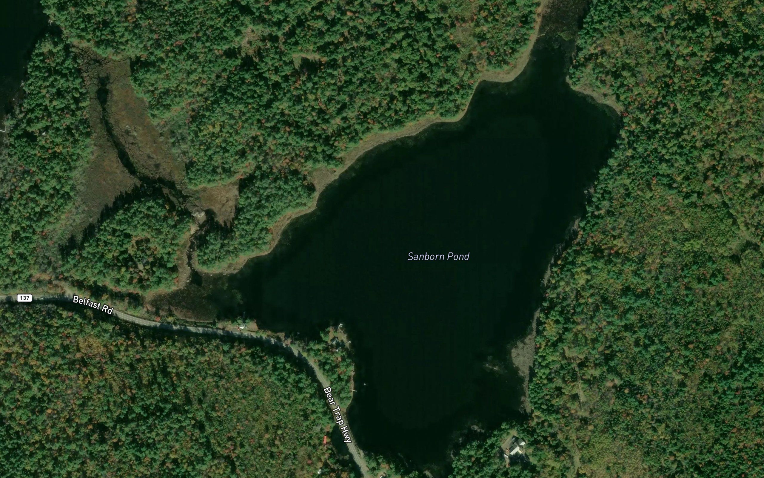 Dutton Pond