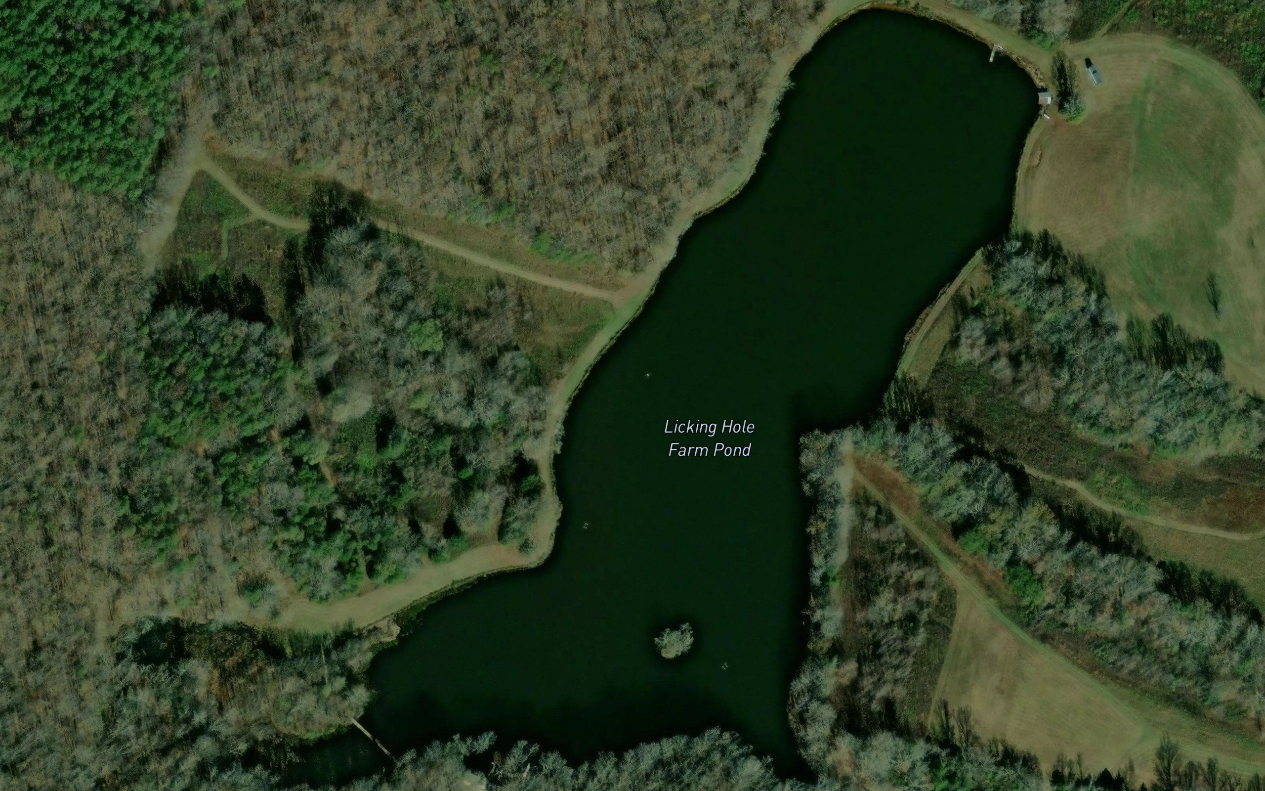Licking Hole Farm Pond