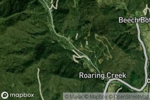 Puncheon Camp Branch