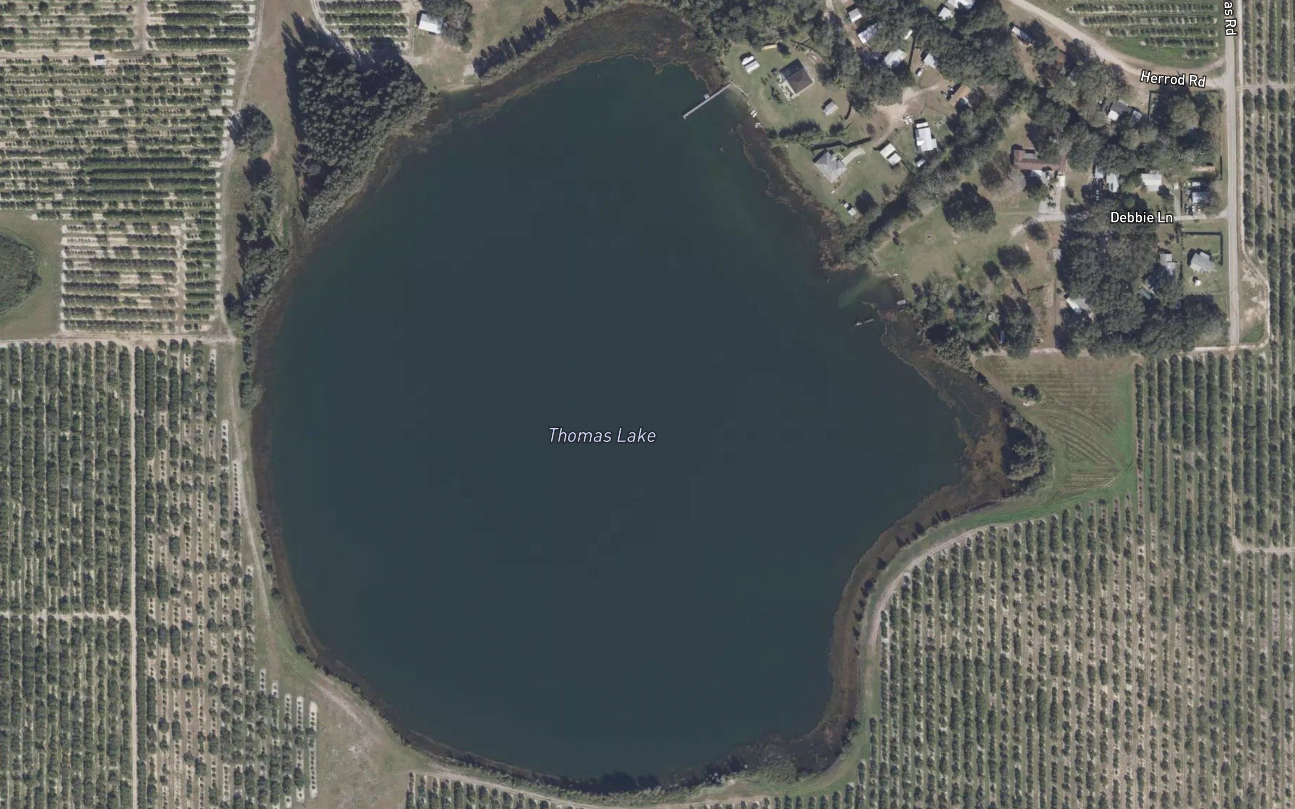 Thomas Lake