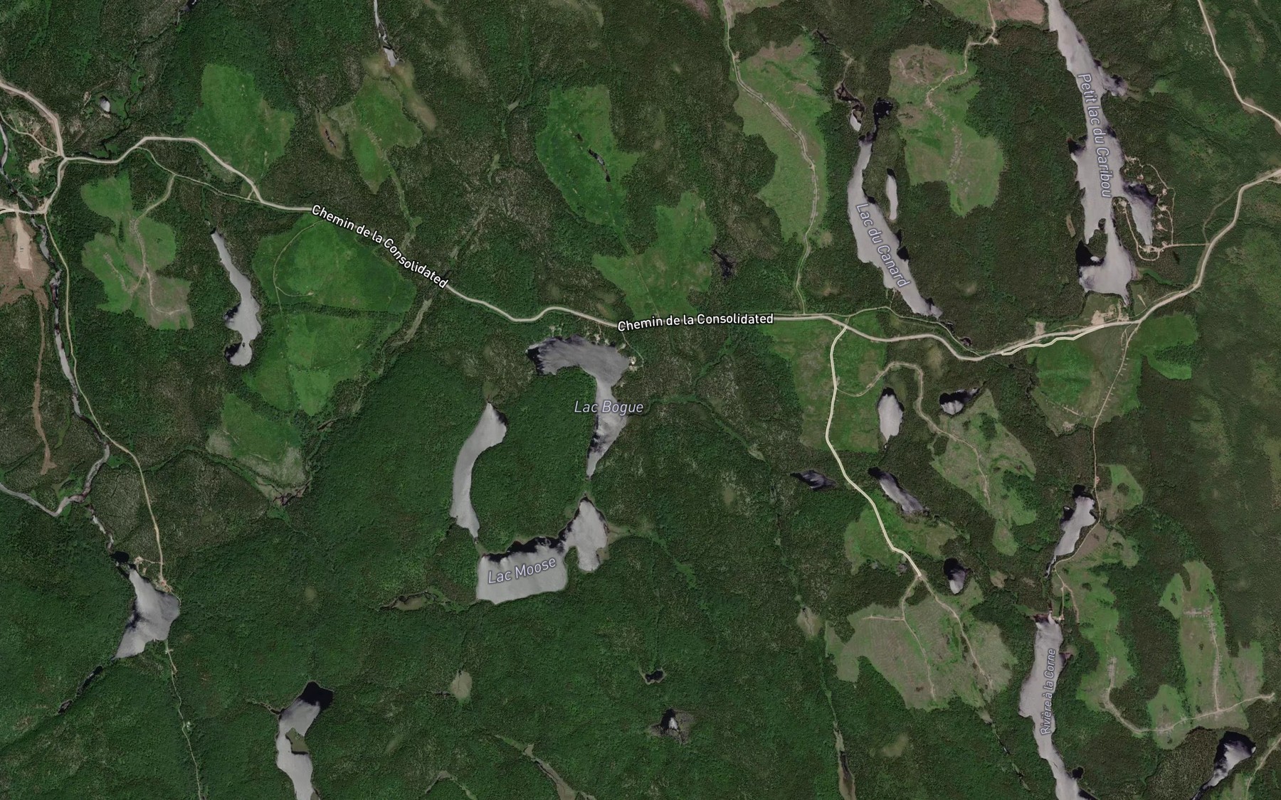 Satellite map of the Lac Bogue