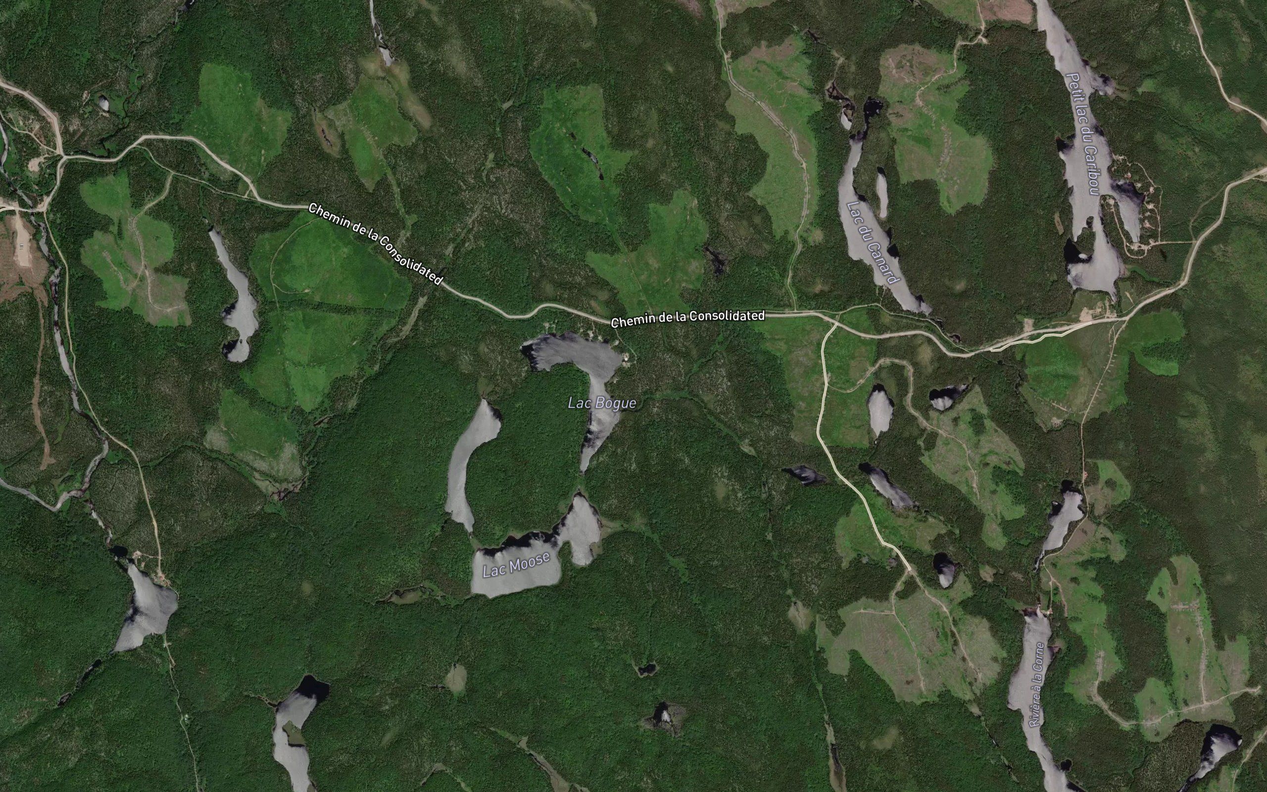 Lac Bogue