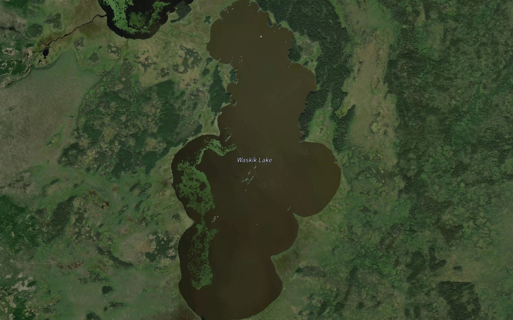Satellite map of the Waskik Lake