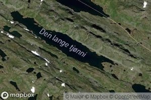 Den lange tjonni