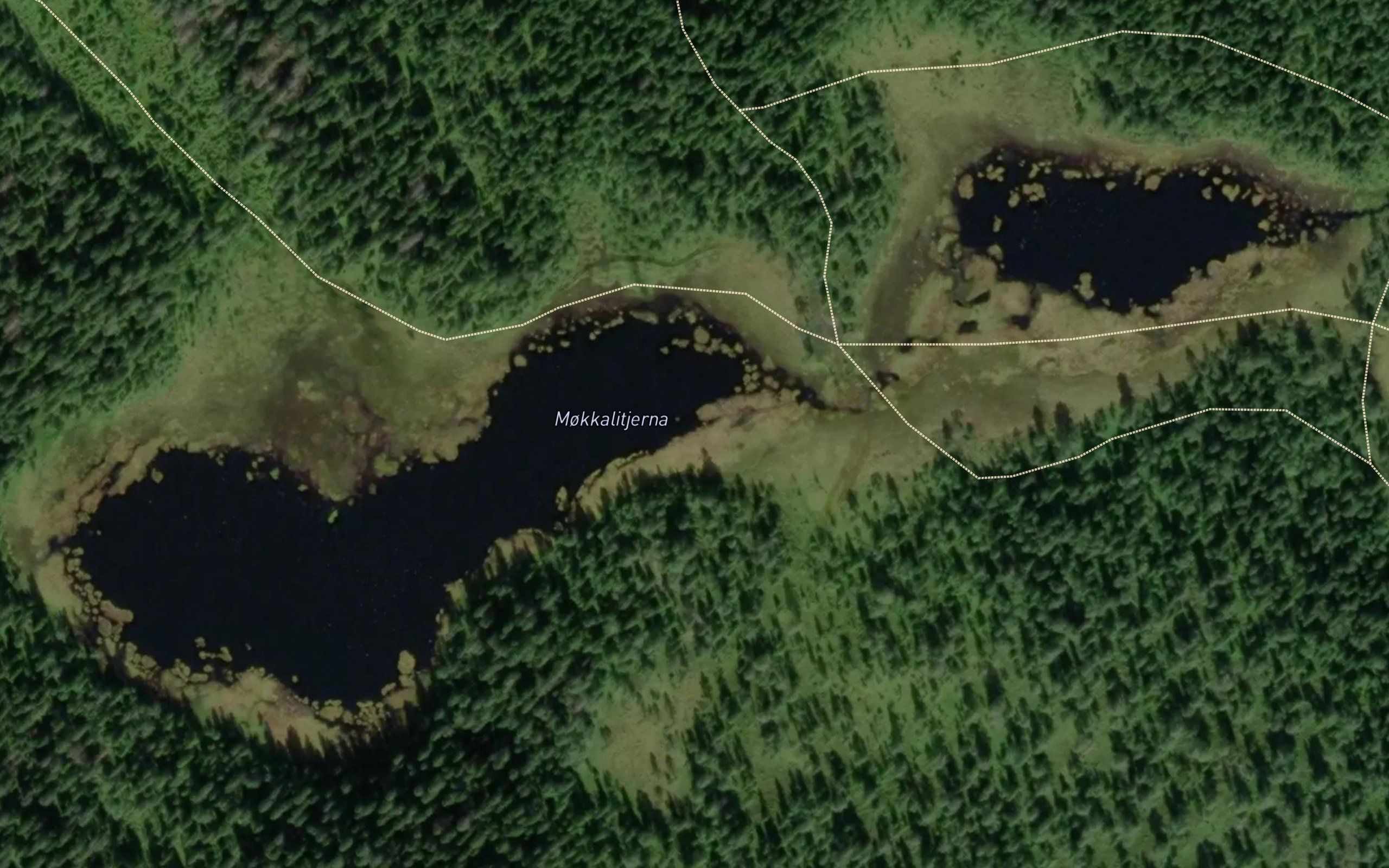 Mokkalitjerna