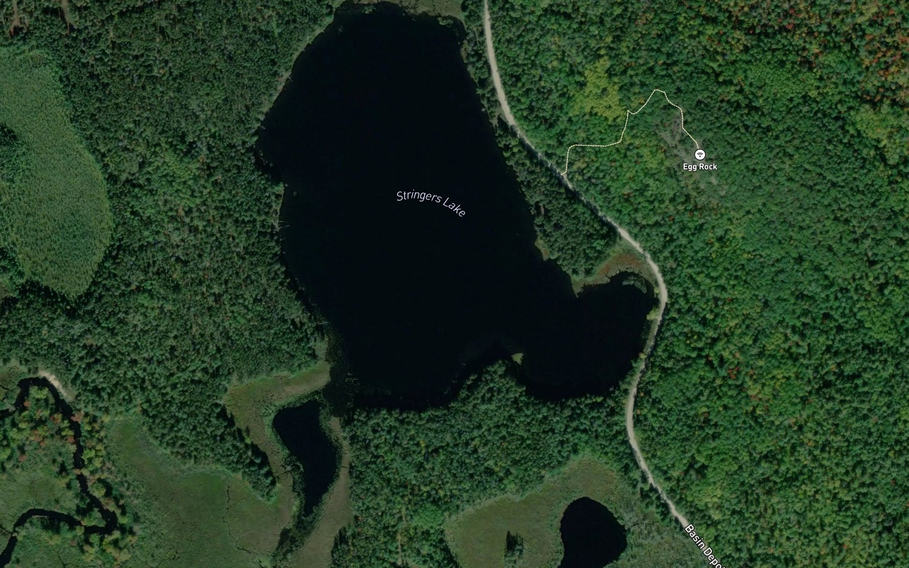 Satellite map of the Stringers Lake