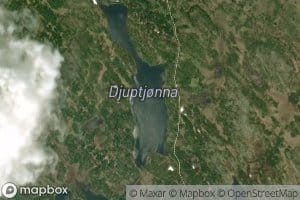 Djuptjorna