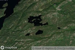 Lomtjorn