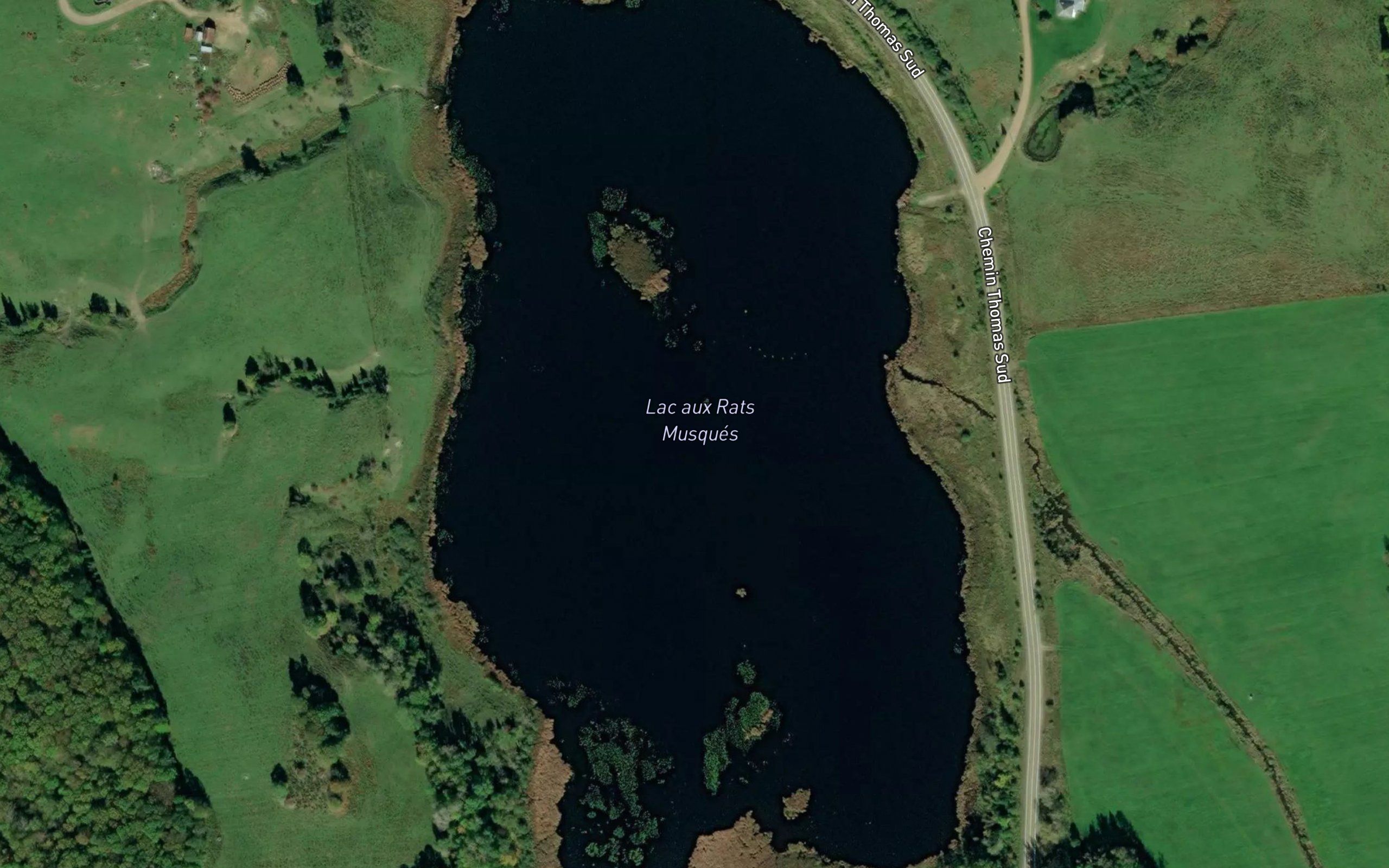 Lac aux Rats Musques