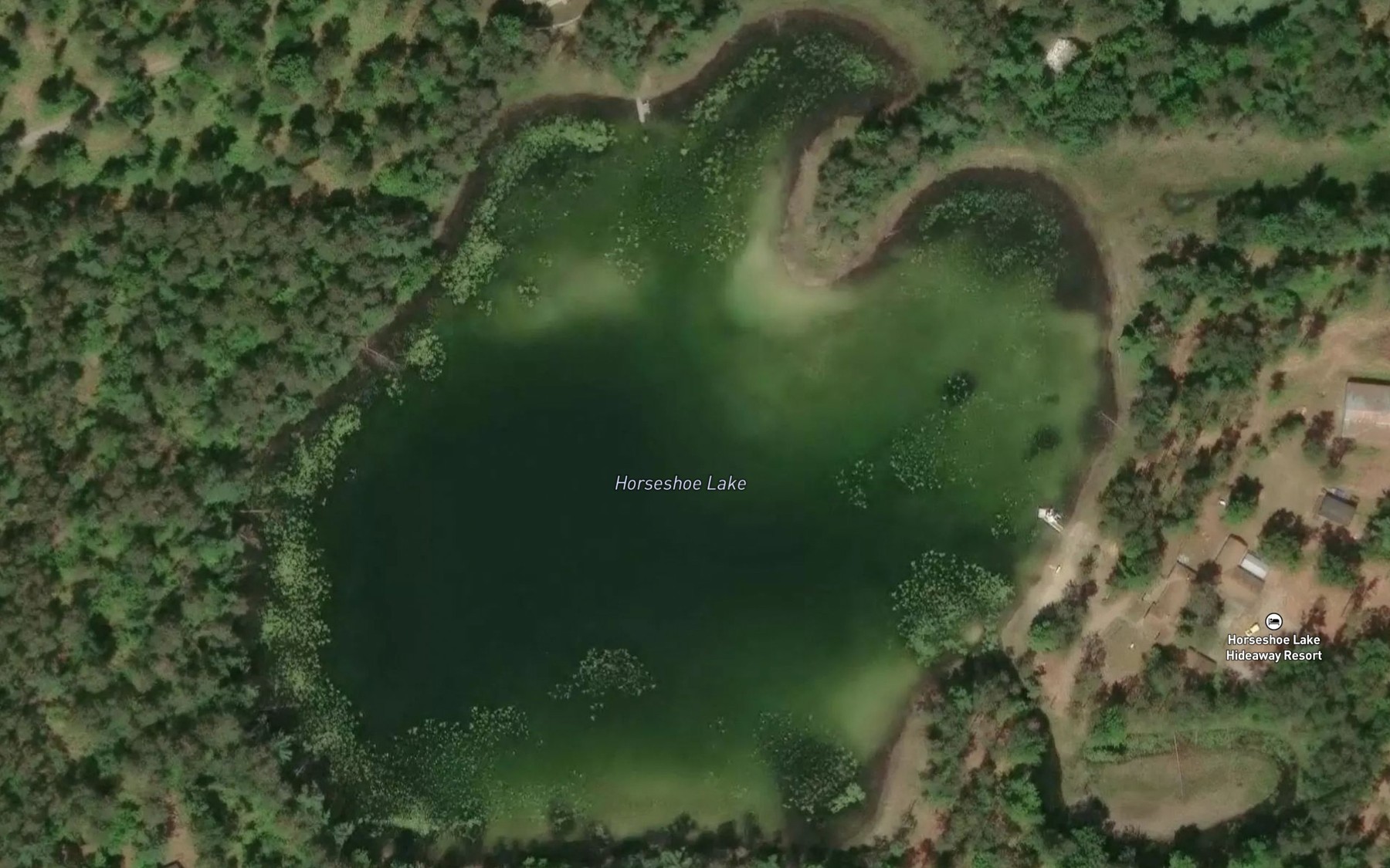 Satellite map of the Horseshoe Lake