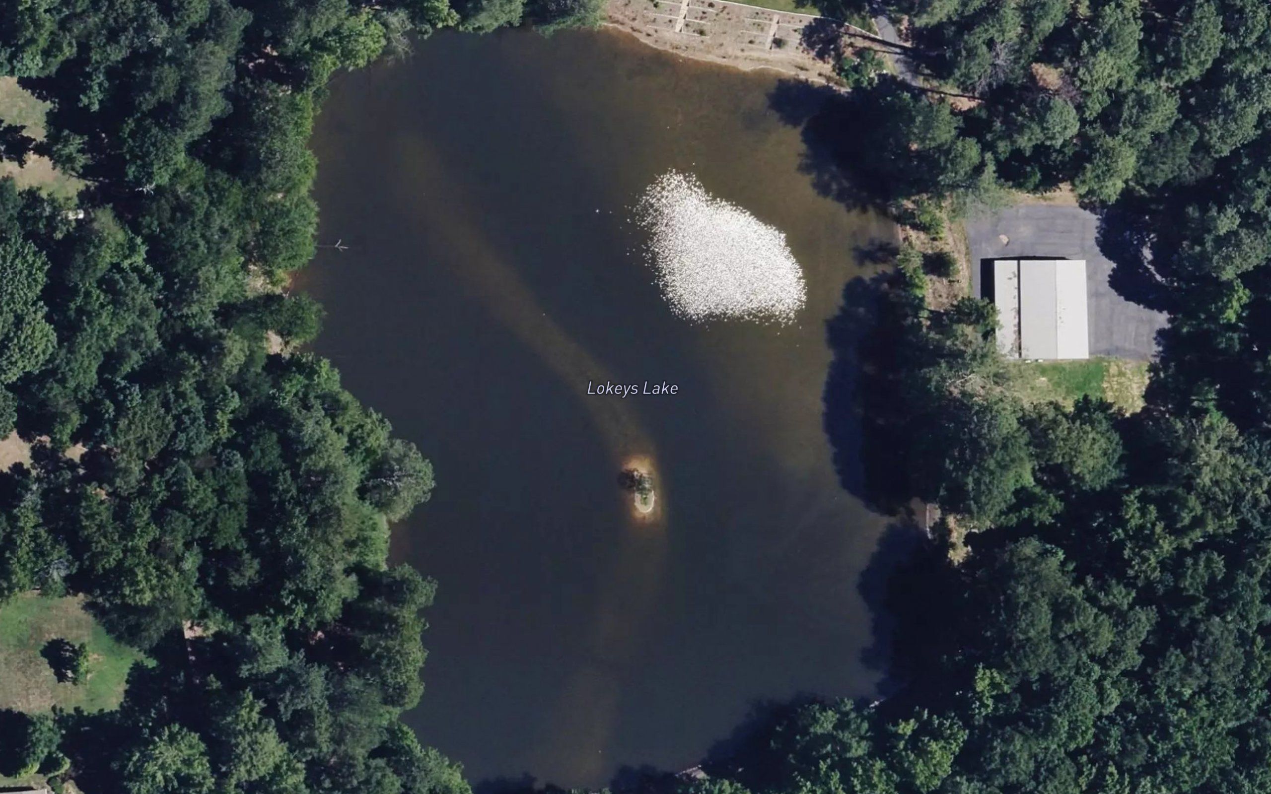 Lokeys Lake