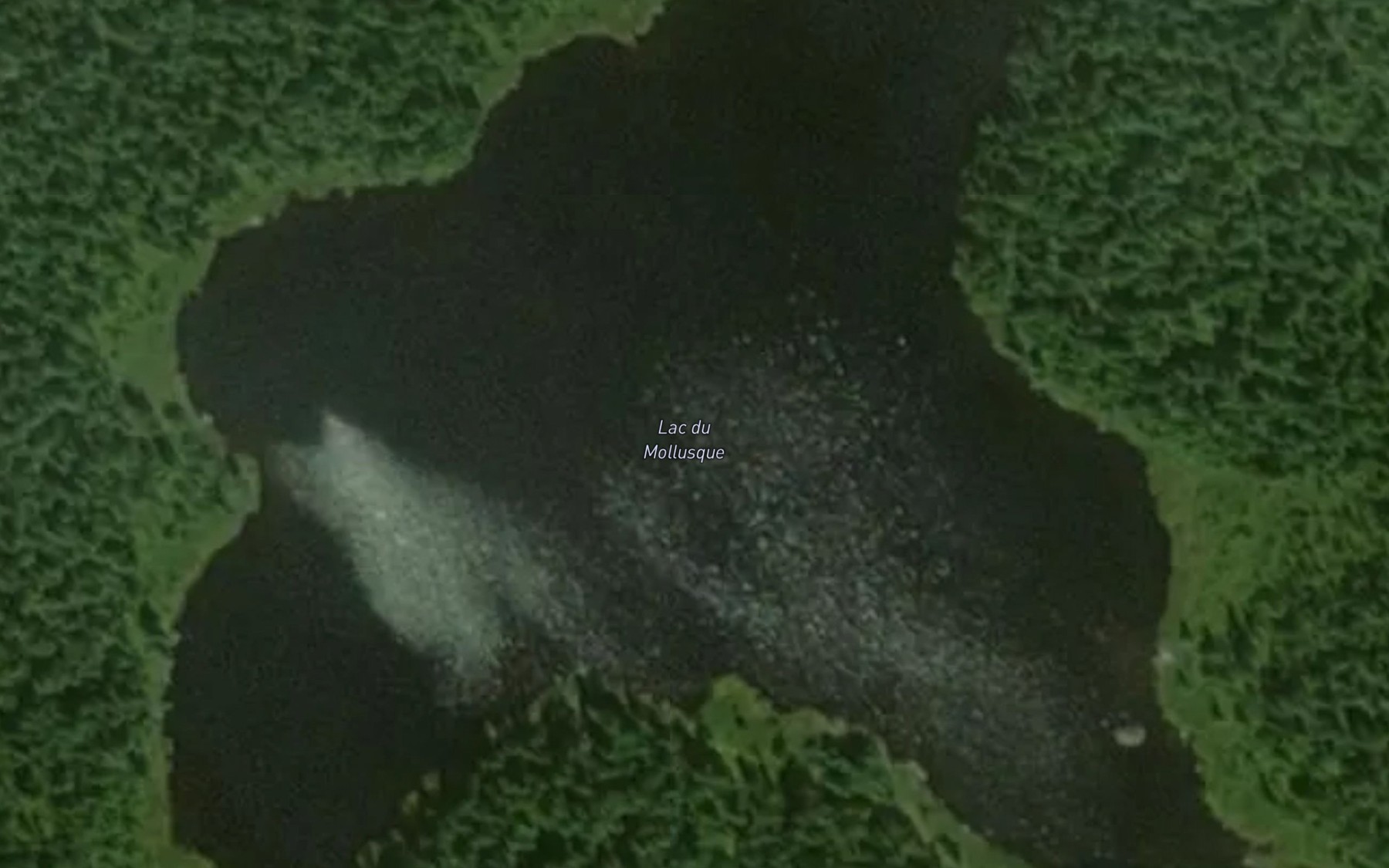 Satellite map of the Lac du Mollusque