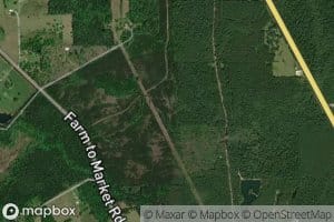 Boggy Creek