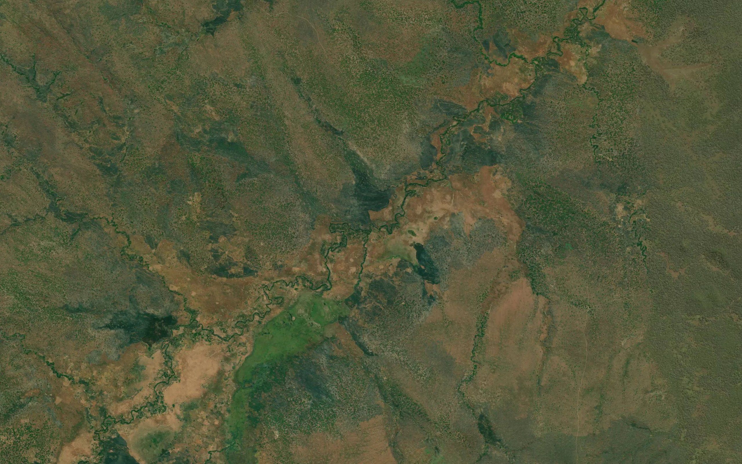 Kibale