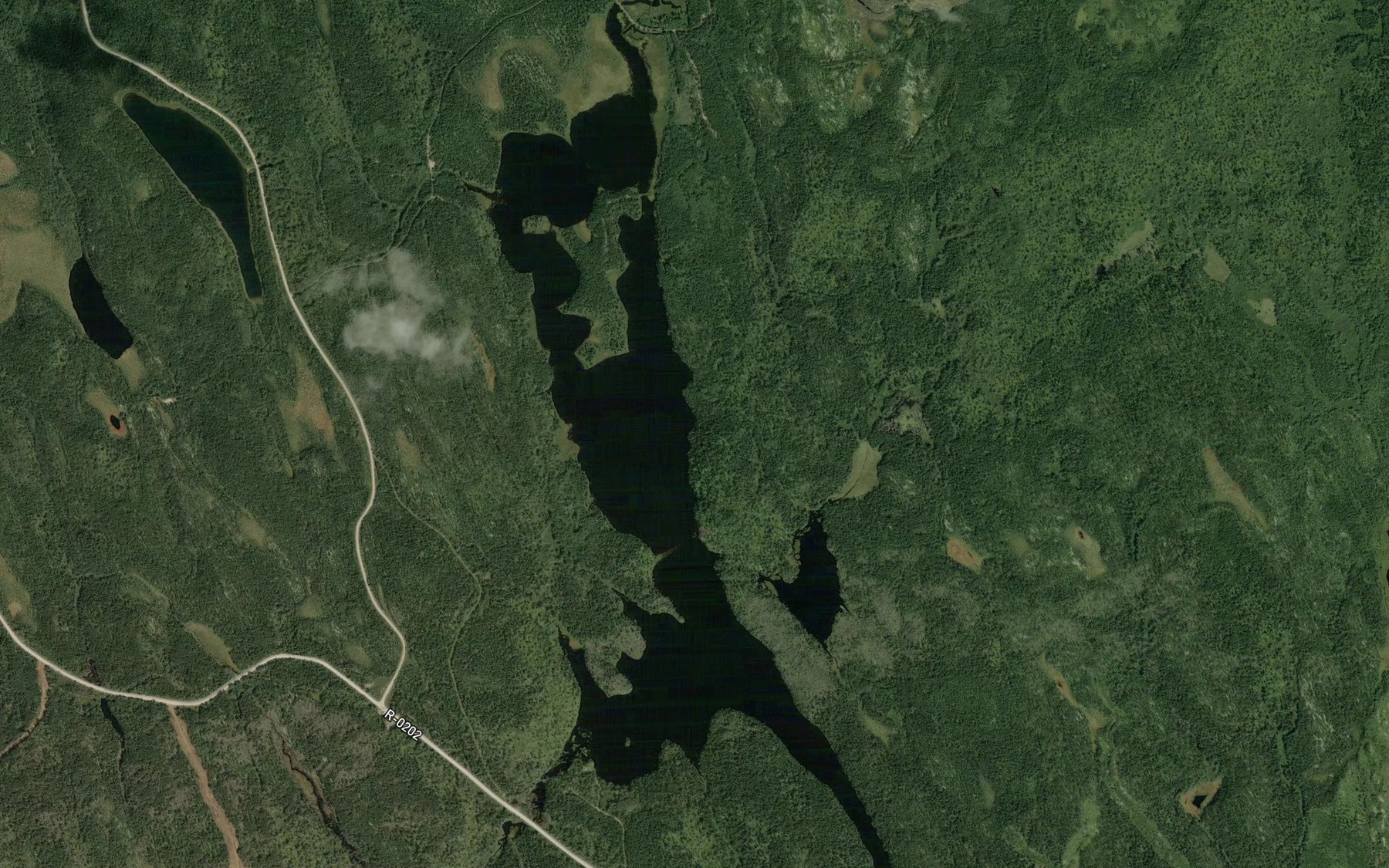 Satellite map of the Petit lac a Jim
