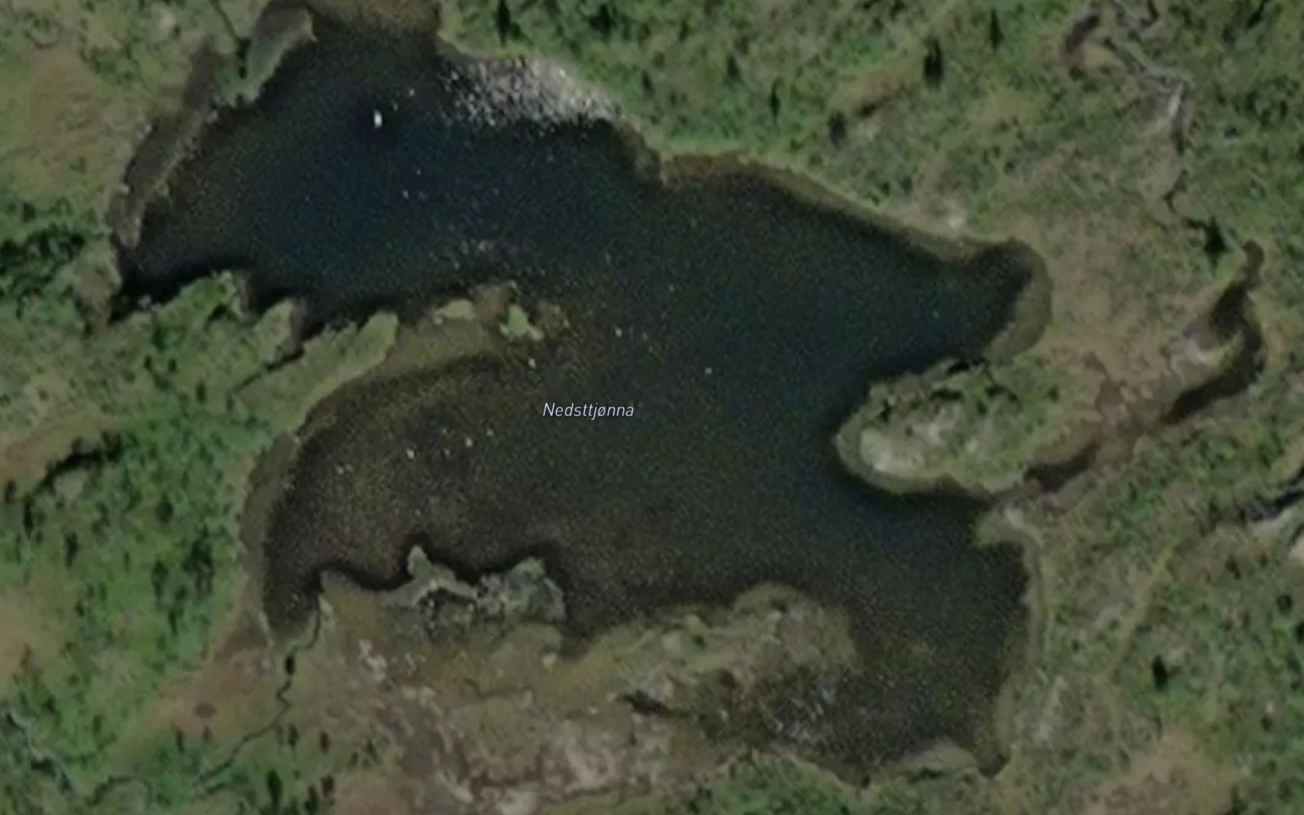 Nestjorna